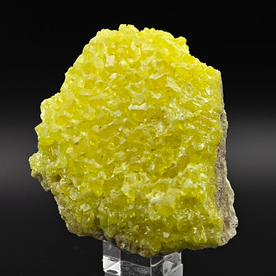 Front view of canary-yellow Sulfur crystal aggregate on matrix