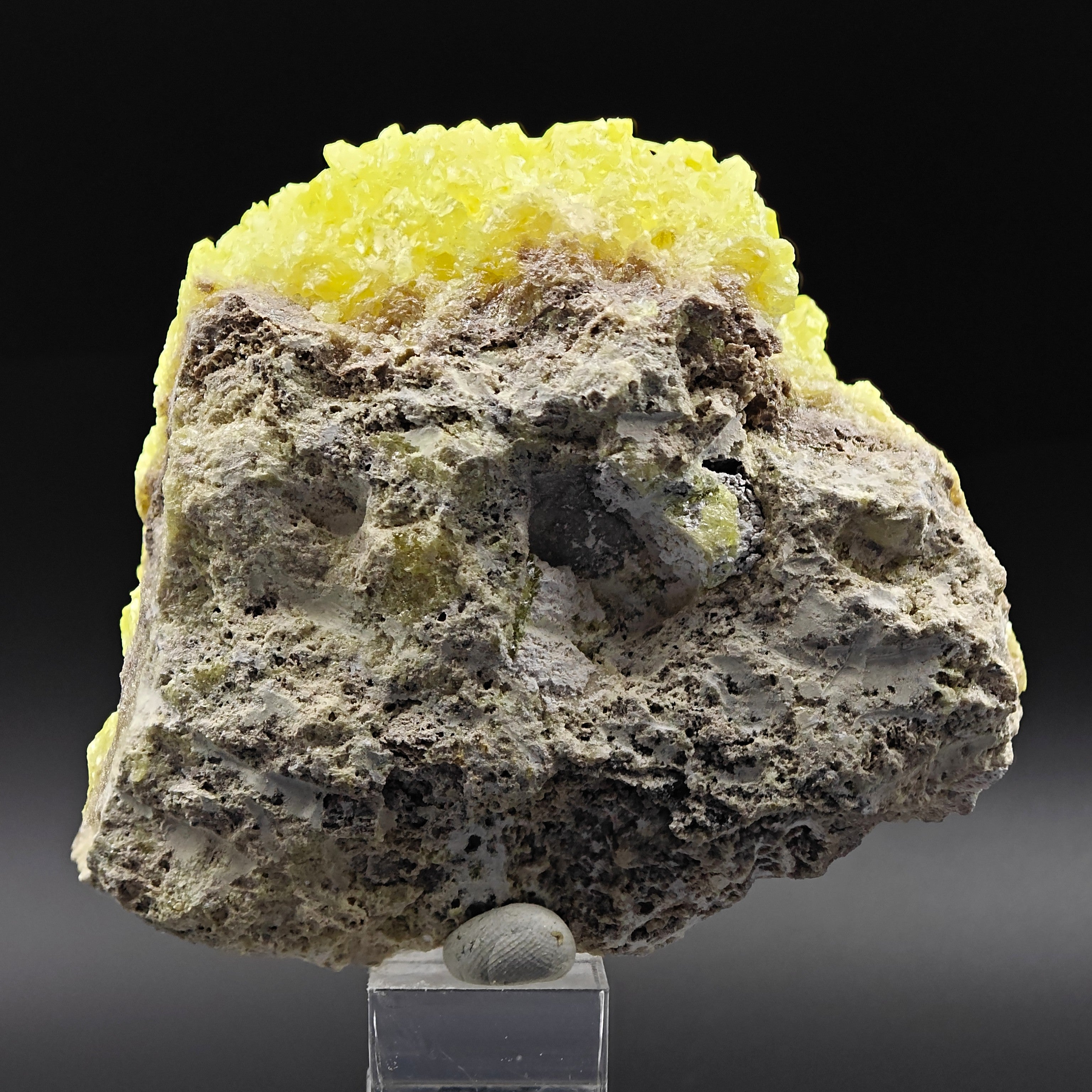 SULFUR – Bright Yellow Crystal Cluster, El Desierto Mine, Bolivia