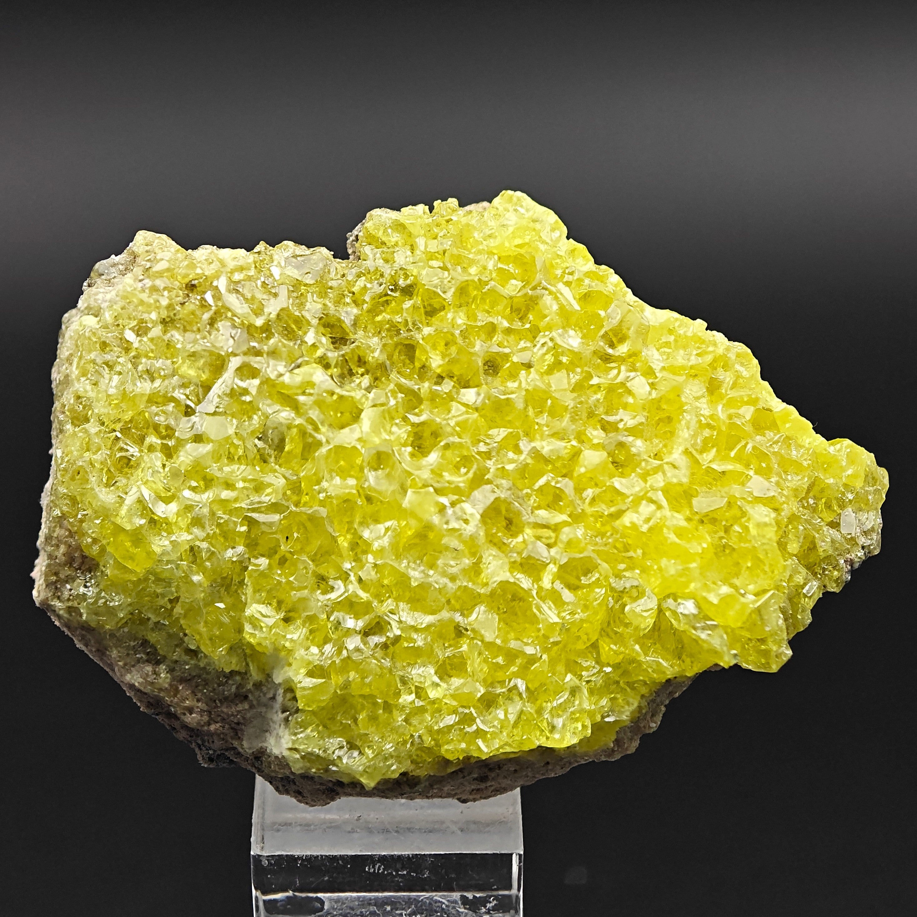 SULFUR – Numerous Intense Yellow Crystals, El Desierto Mine, Bolivia