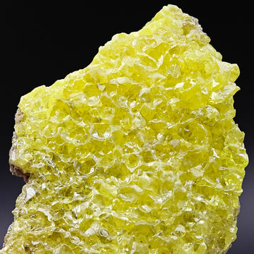 SULFUR – Numerous Intense Yellow Crystals, El Desierto Mine, Bolivia