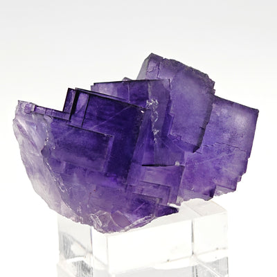Side view of purple fluorite cubic crystals on matrix, Aksu, Xinjiang