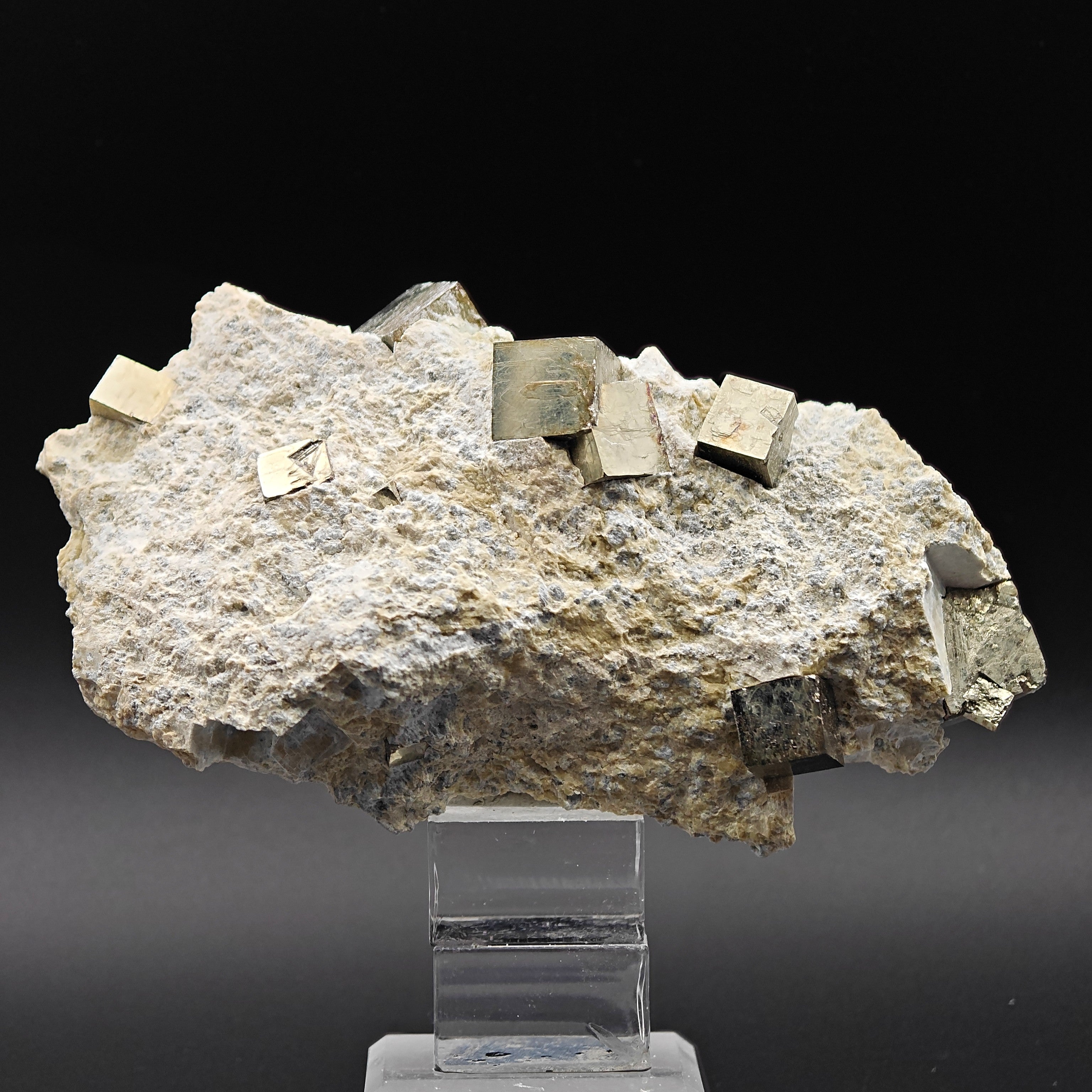 PYRITE - Golden cubes, crystals on TALC from Navajun, Spain