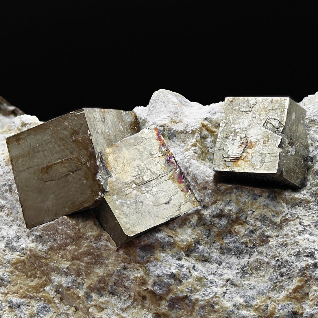 PYRITE - Golden cubes, crystals on TALC from Navajun, Spain