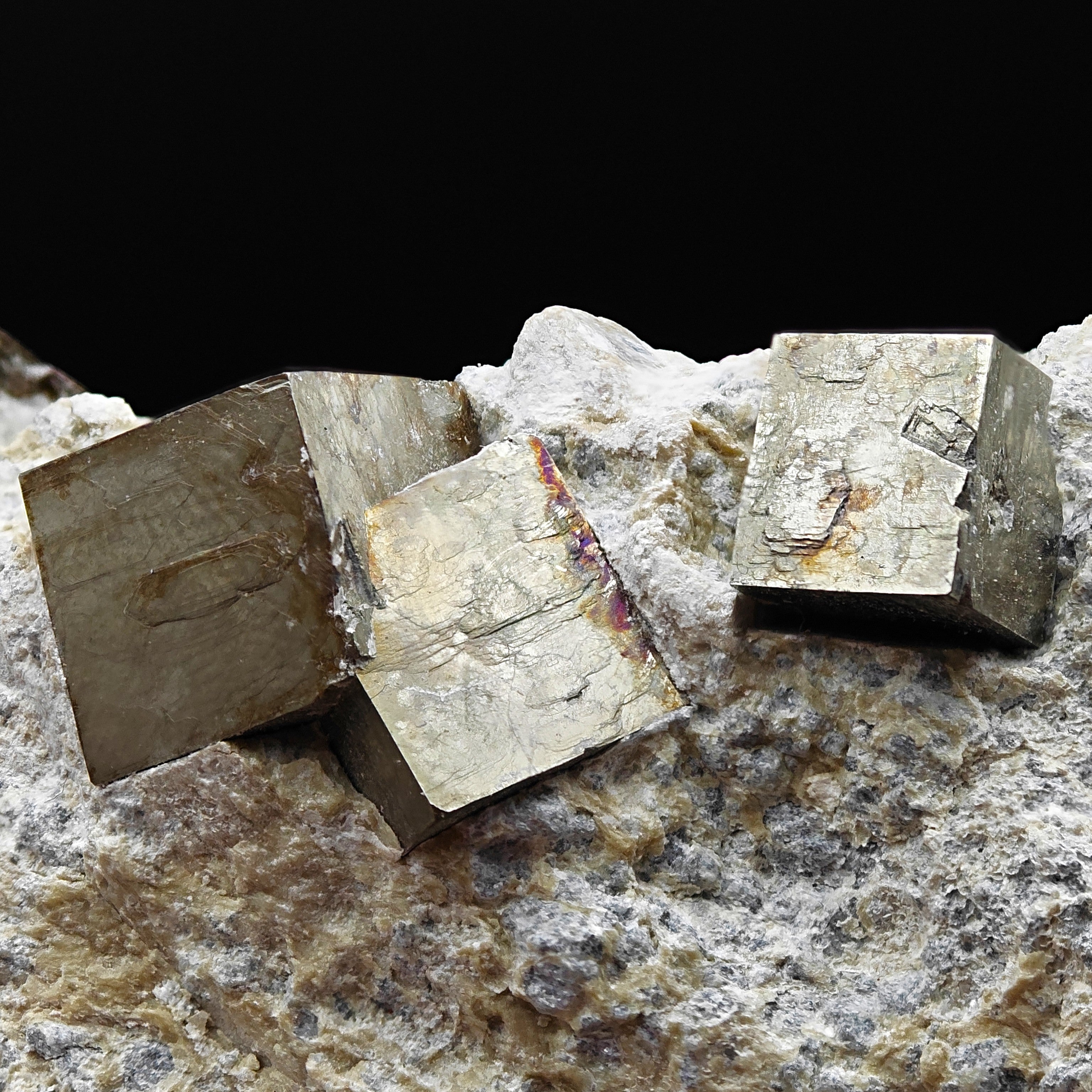 PYRITE - Golden cubes, crystals on TALC from Navajun, Spain