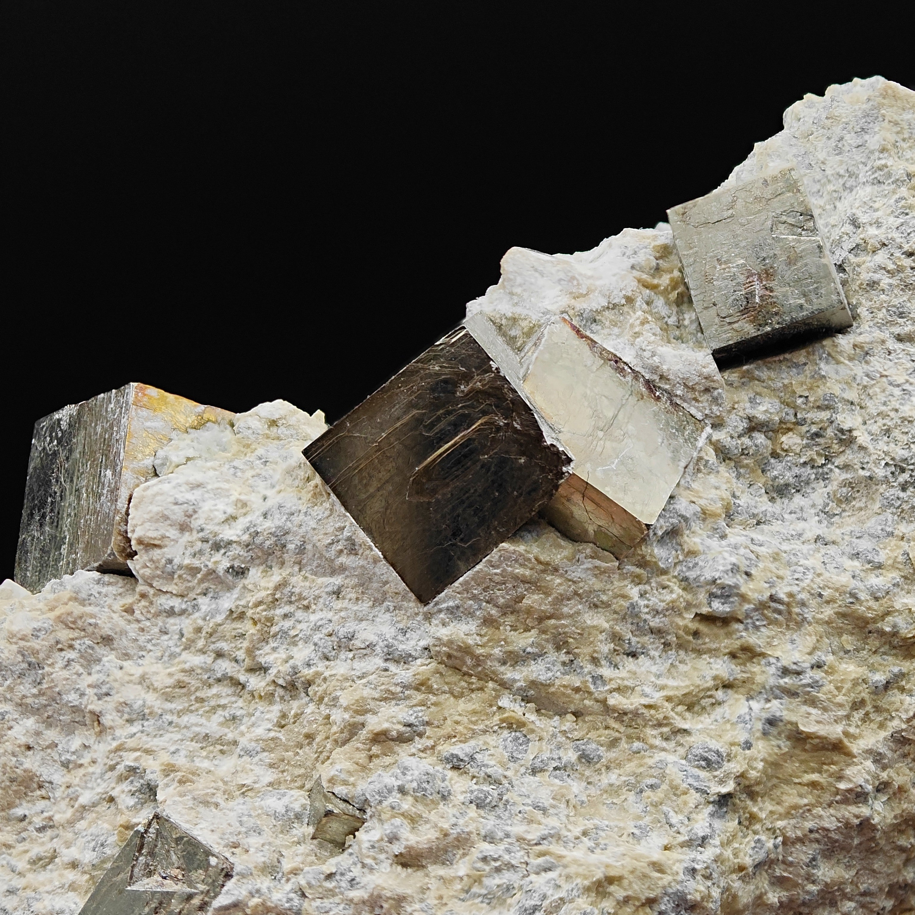 PYRITE - Golden cubes, crystals on TALC from Navajun, Spain
