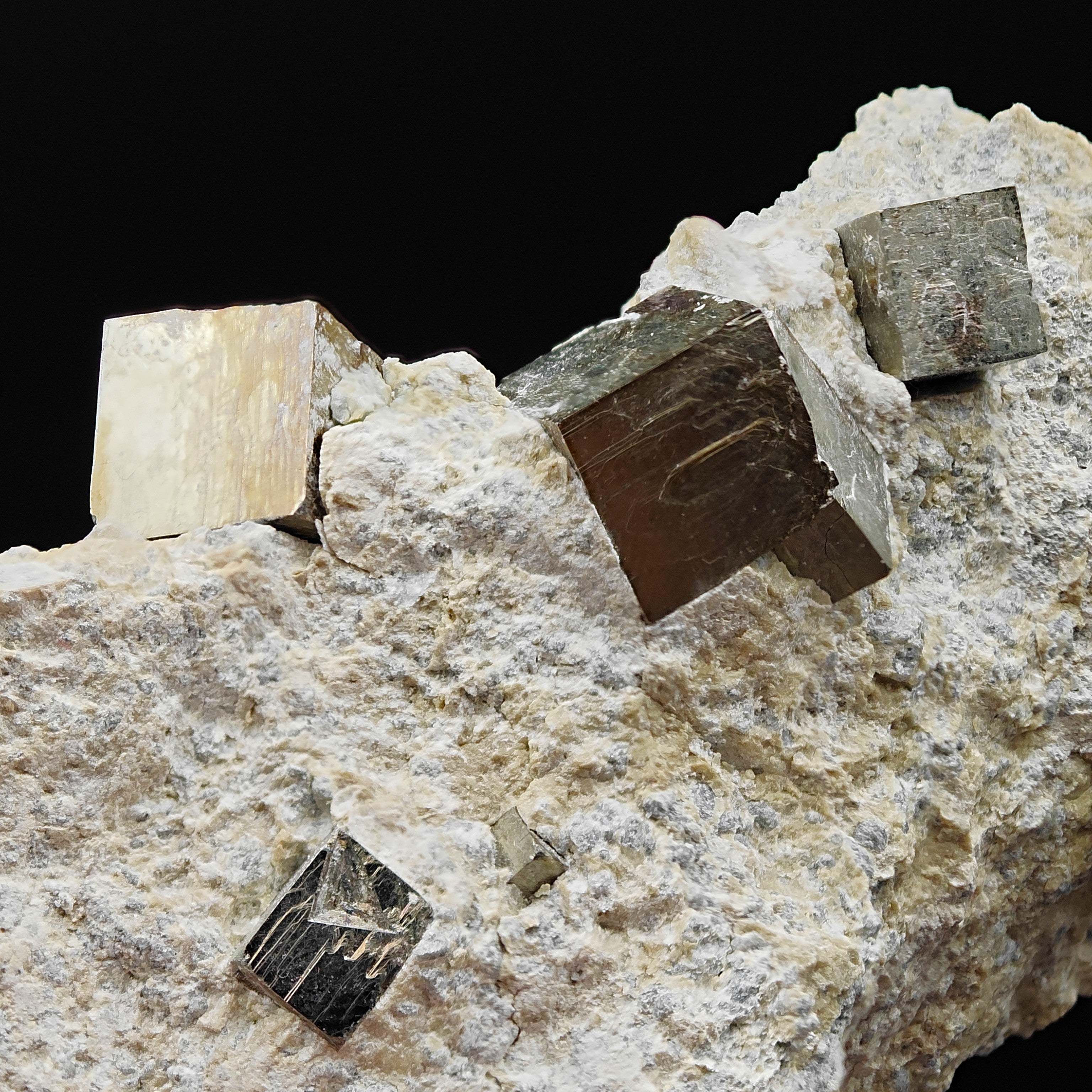 PYRITE - Golden cubes, crystals on TALC from Navajun, Spain