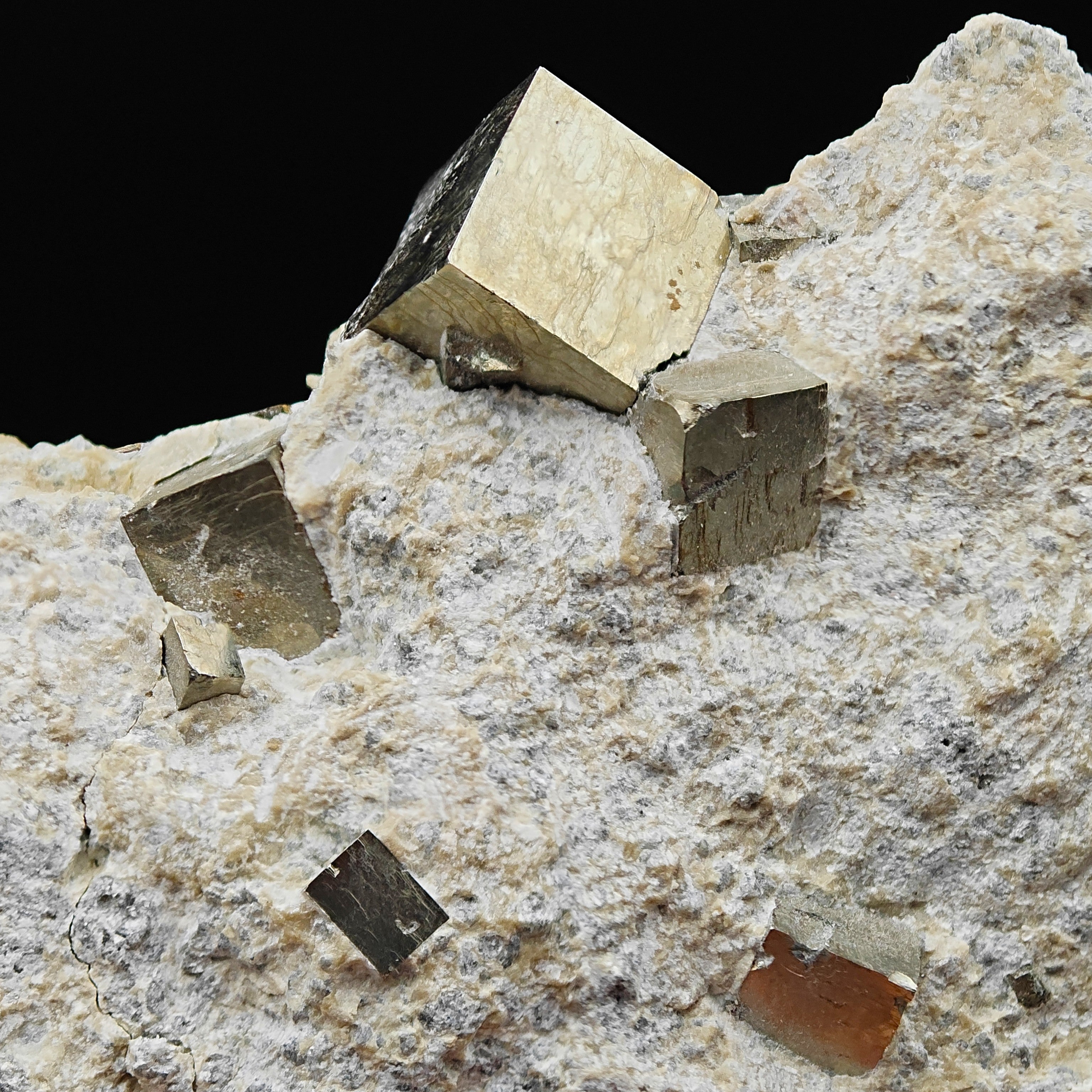 PYRITE - Golden cubes, crystals on TALC from Navajun, Spain