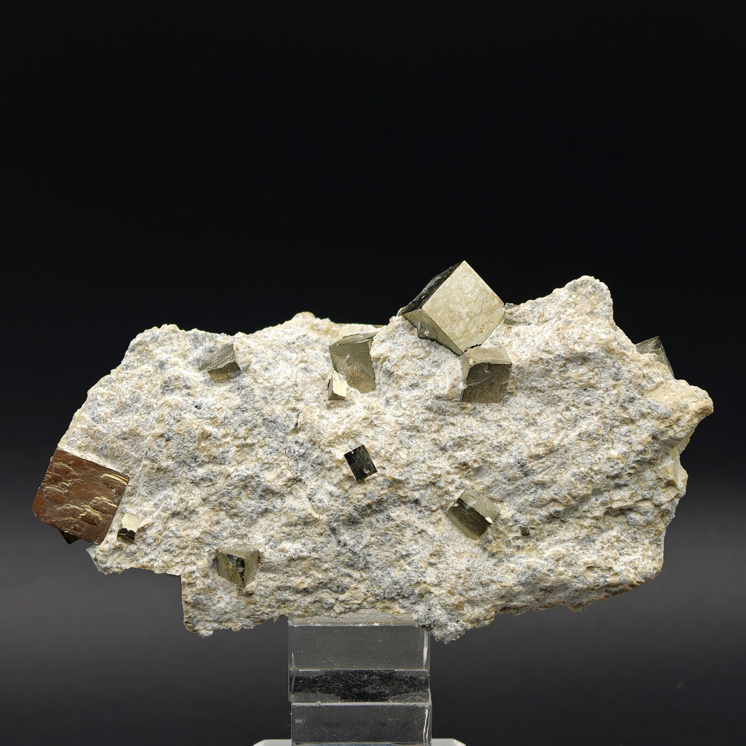 PYRITE - Golden cubes, crystals on TALC from Navajun, Spain