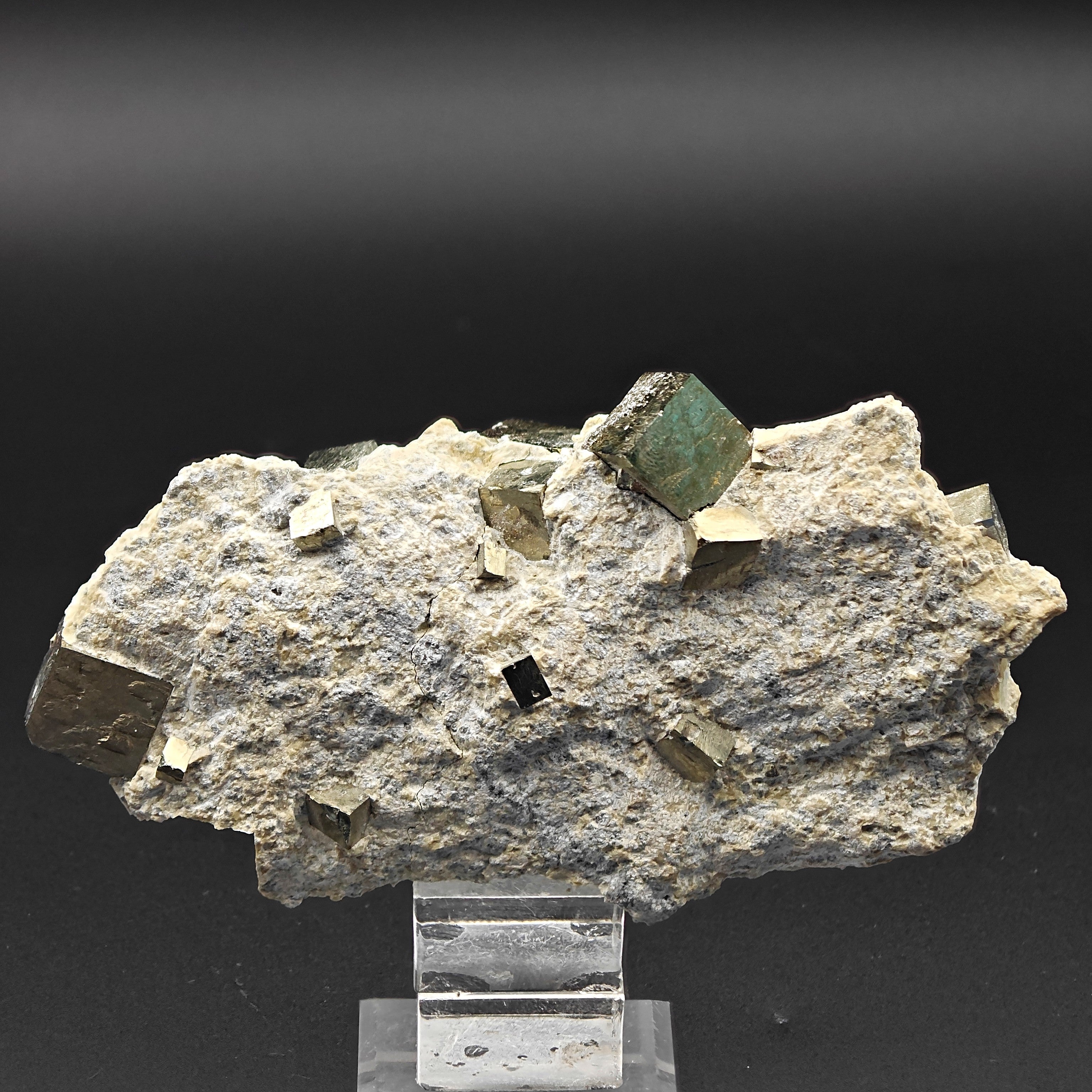 PYRITE - Golden cubes, crystals on TALC from Navajun, Spain
