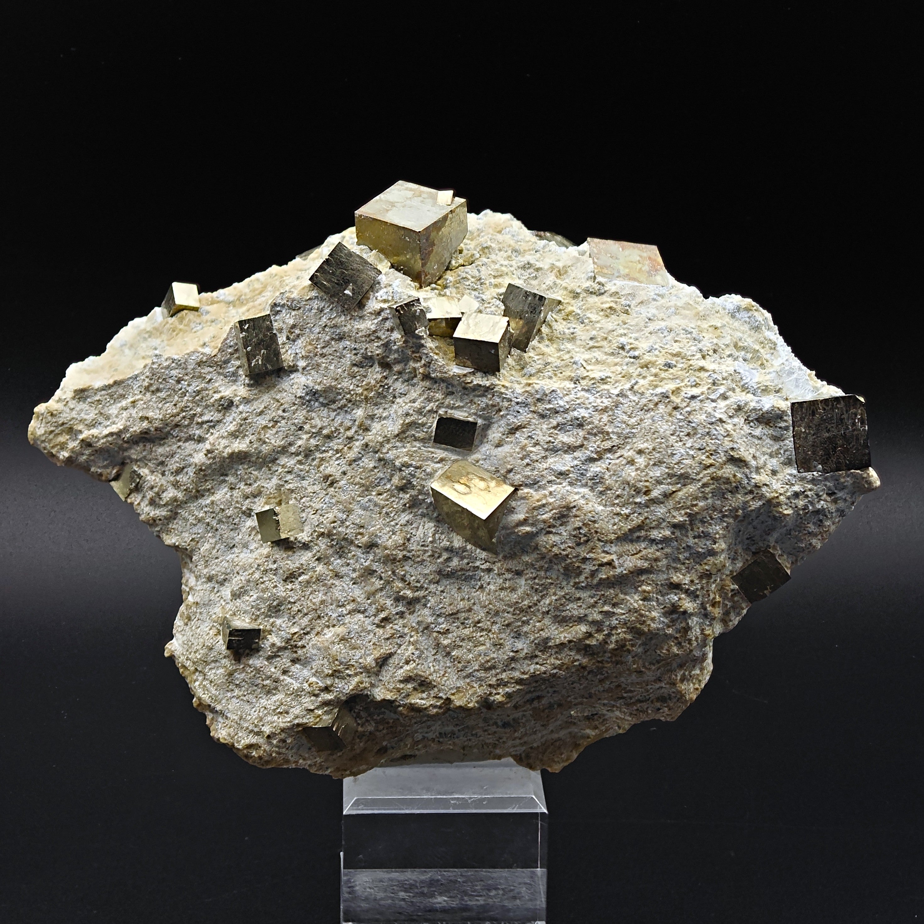 PYRITE - Golden cubes, crystals on TALC from Navajun, Spain