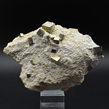 PYRITE - Golden cubes, crystals on TALC from Navajun, Spain
