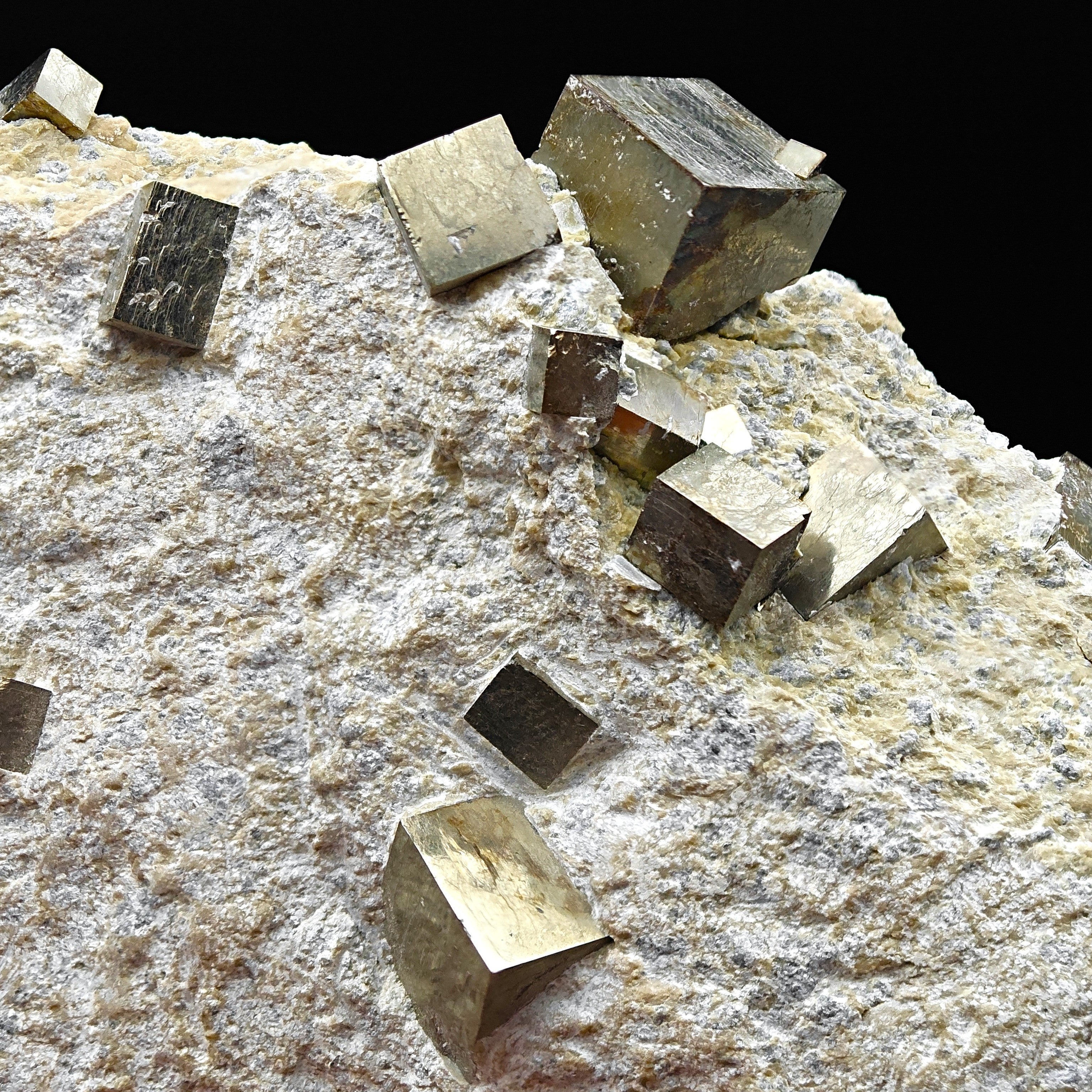 PYRITE - Golden cubes, crystals on TALC from Navajun, Spain