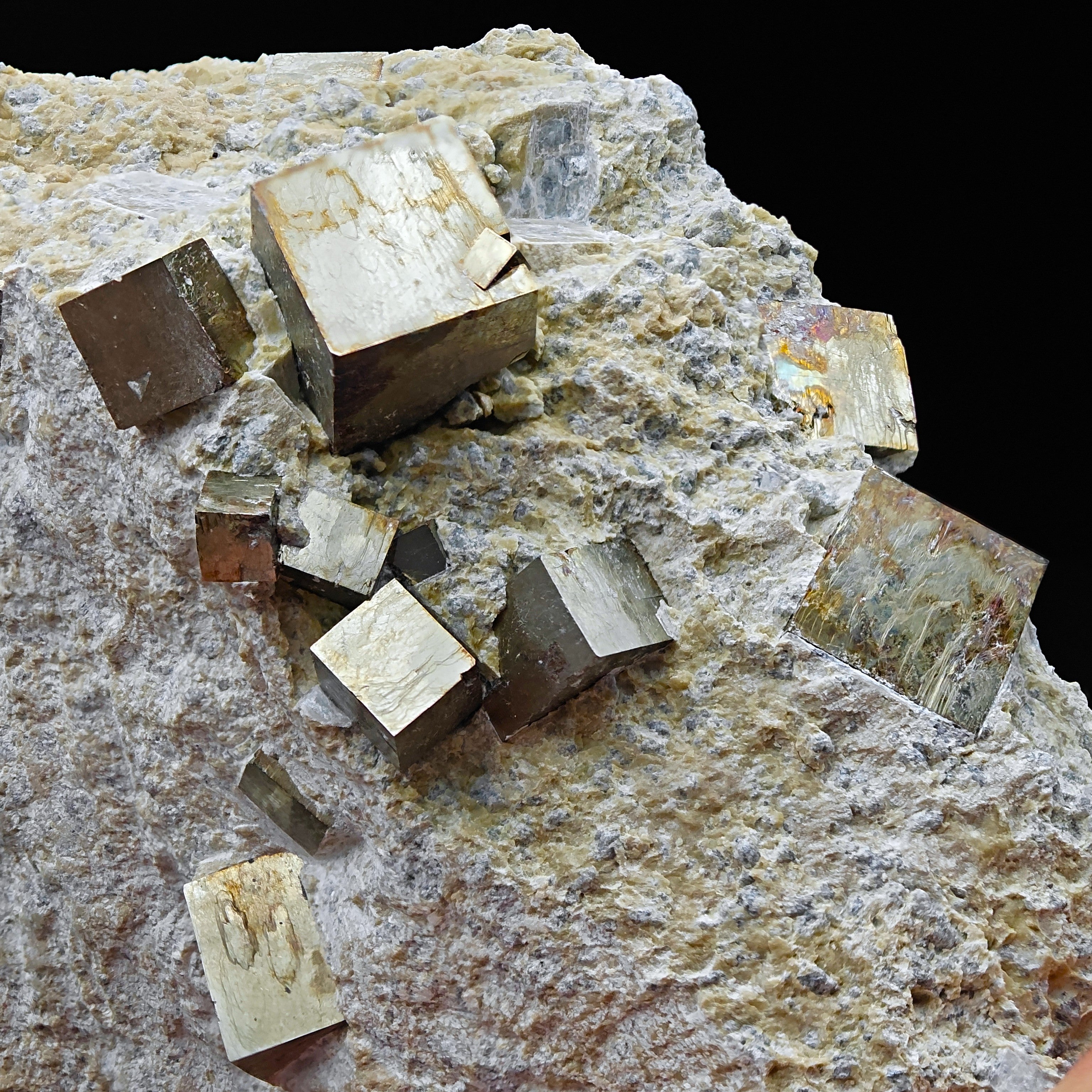 PYRITE - Golden cubes, crystals on TALC from Navajun, Spain
