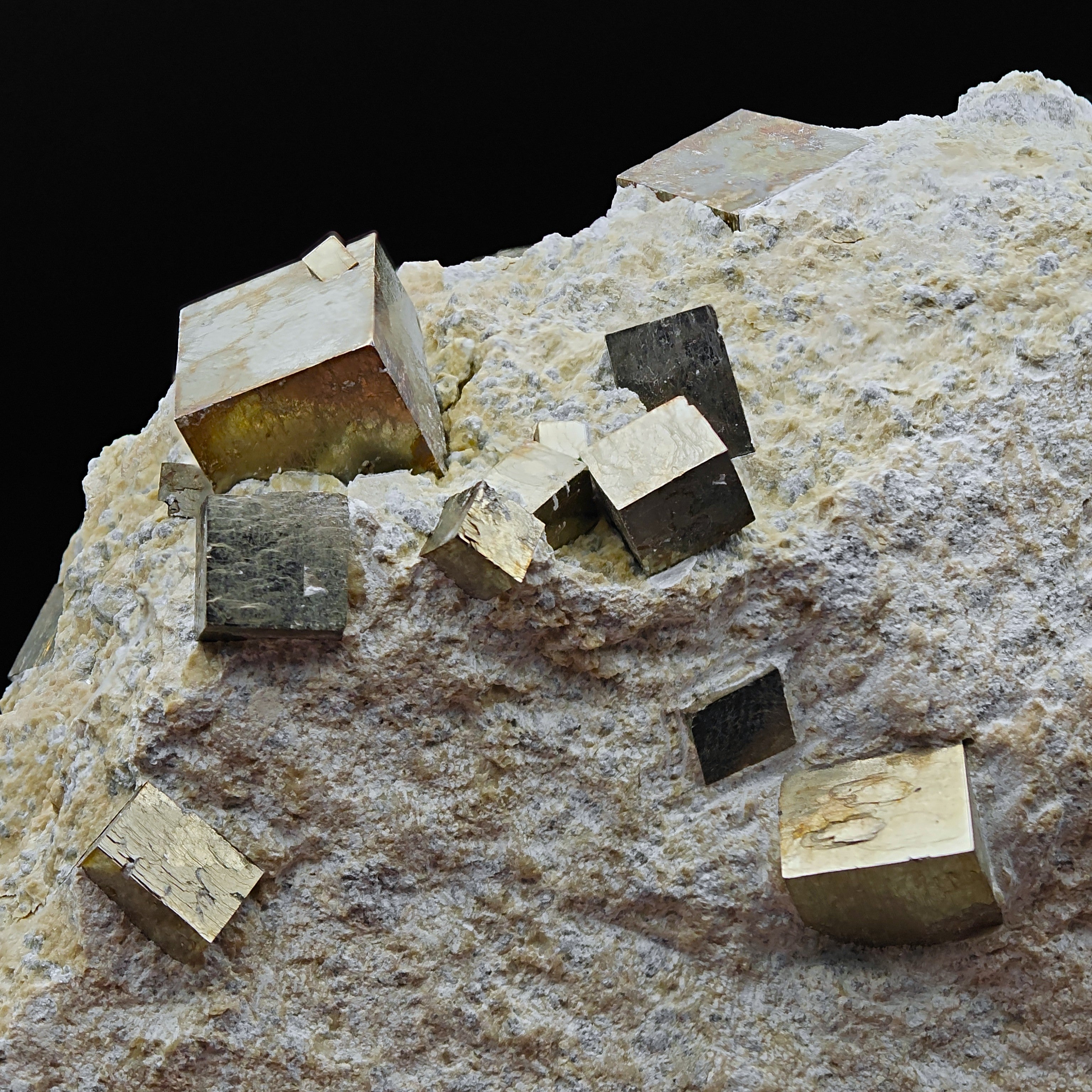PYRITE - Golden cubes, crystals on TALC from Navajun, Spain