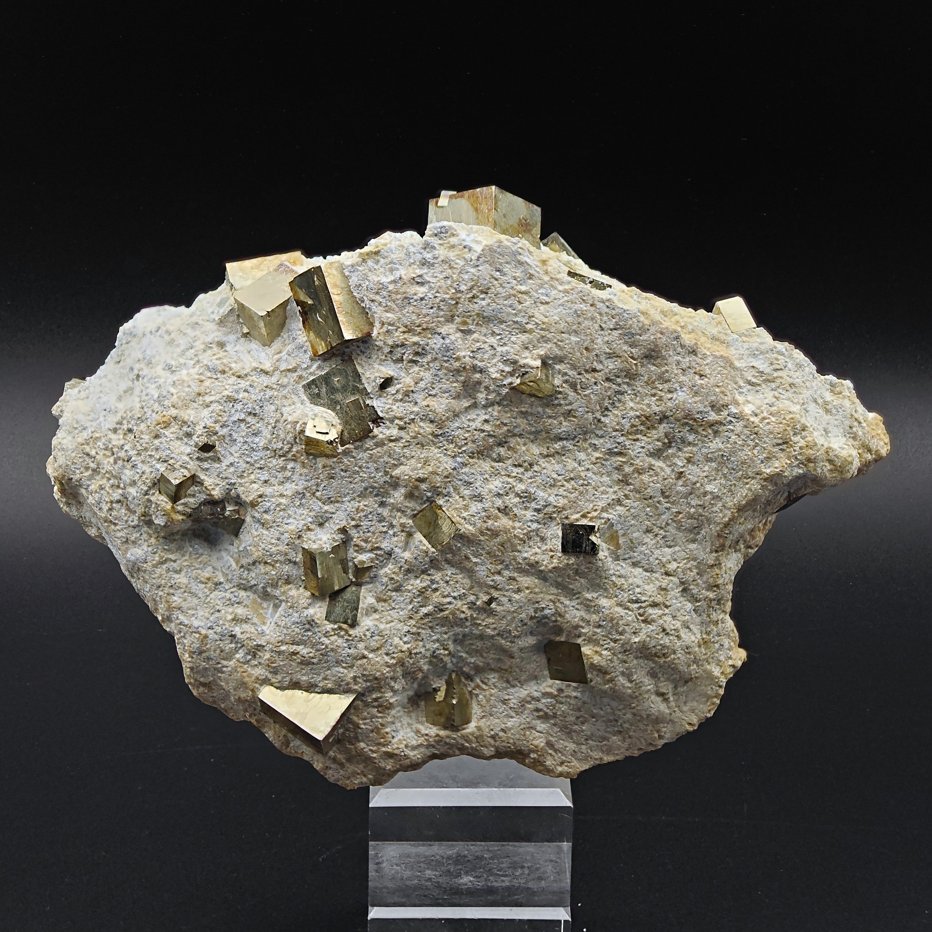 PYRITE - Golden cubes, crystals on TALC from Navajun, Spain