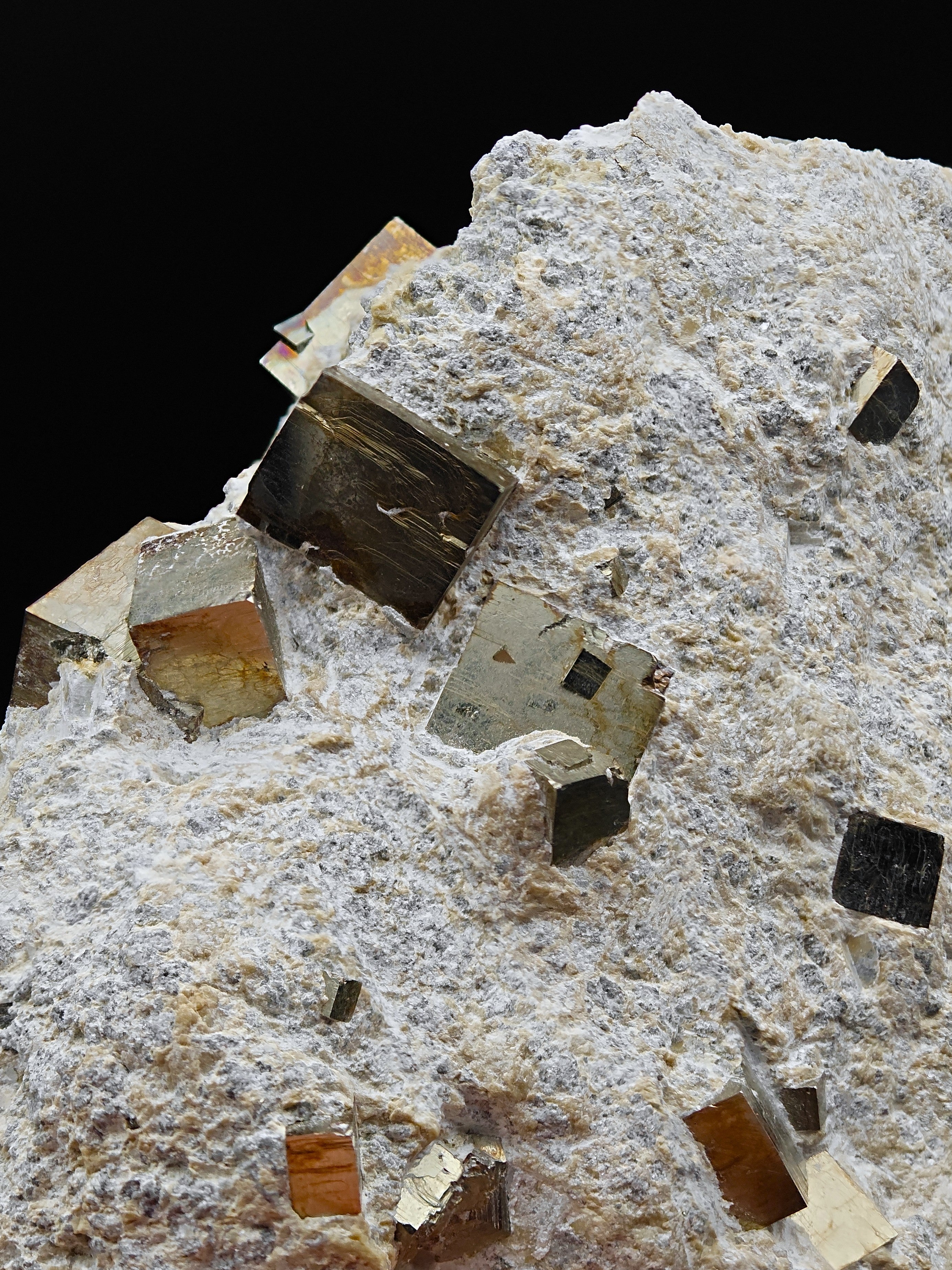 PYRITE - Golden cubes, crystals on TALC from Navajun, Spain