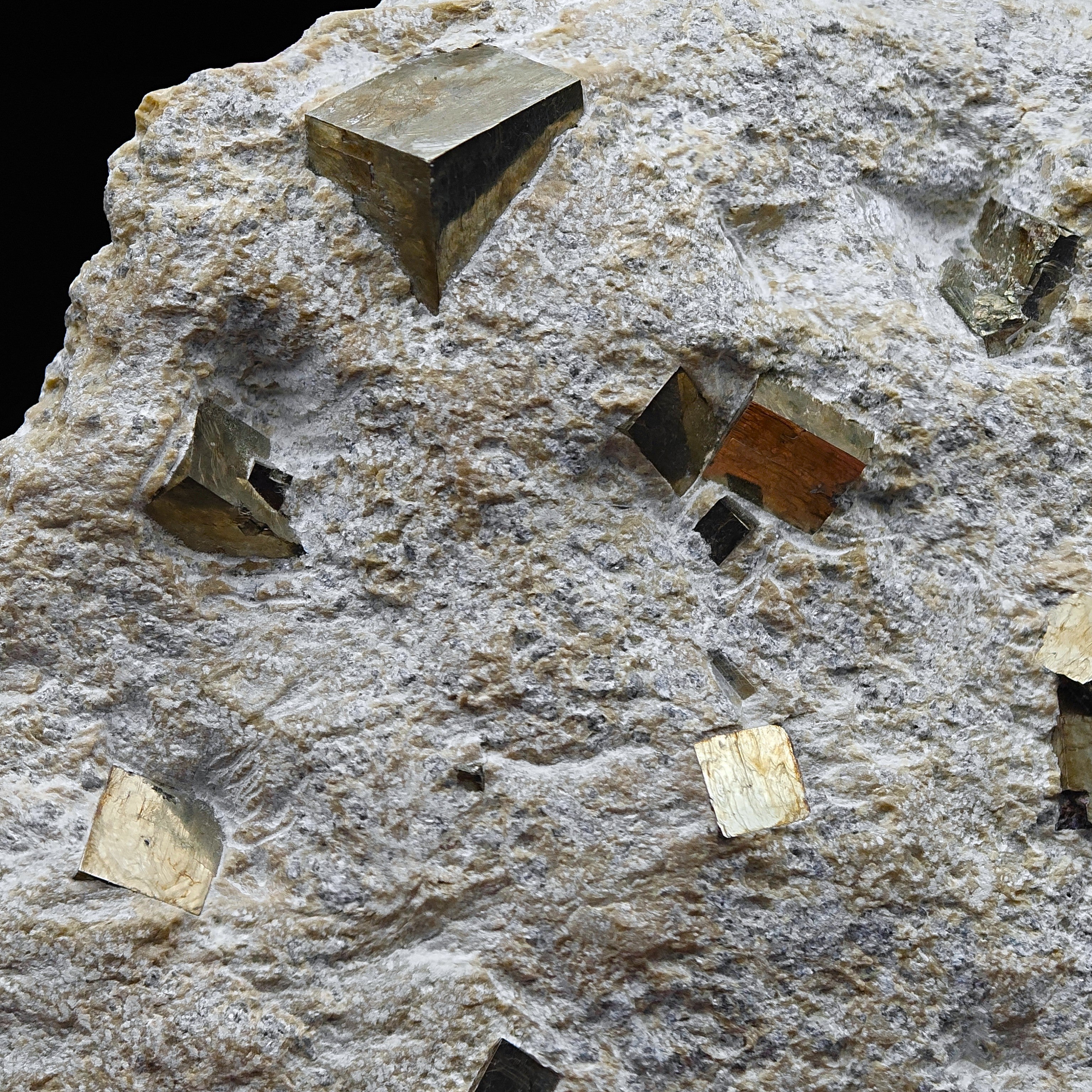 PYRITE - Golden cubes, crystals on TALC from Navajun, Spain