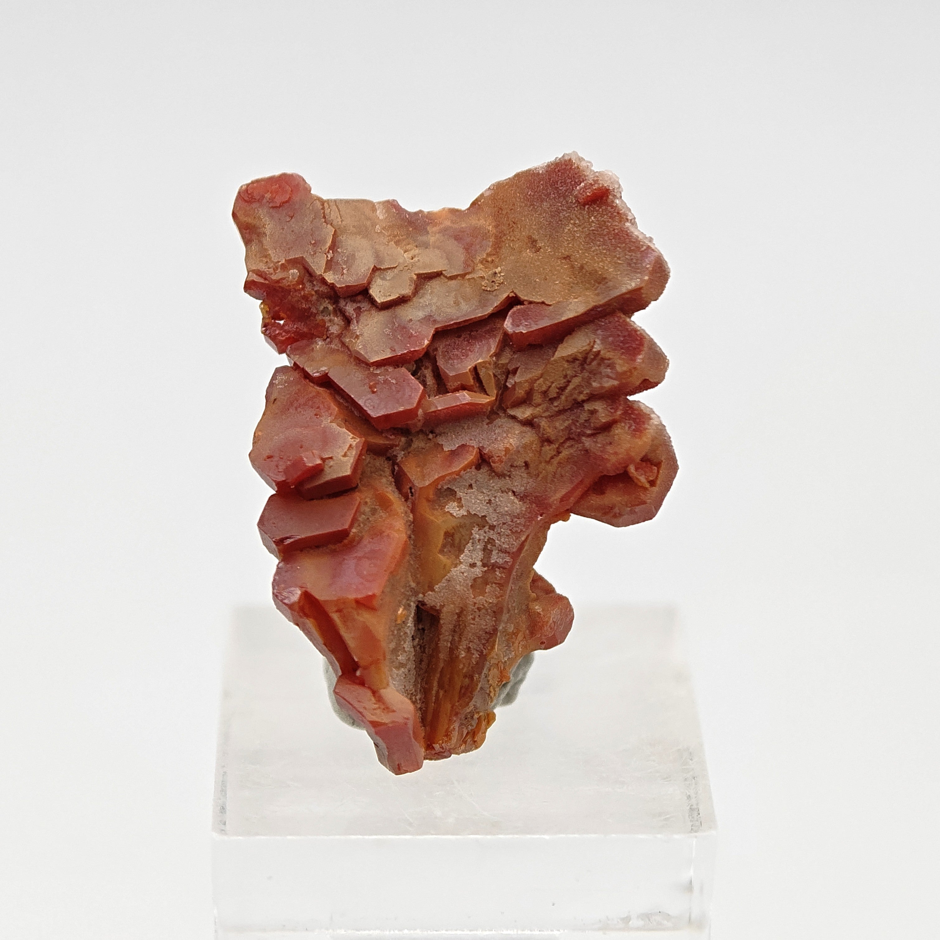 VANADINITE – Blood-Red Petal-Shaped Crystal Plate, Mibladen, Morocco