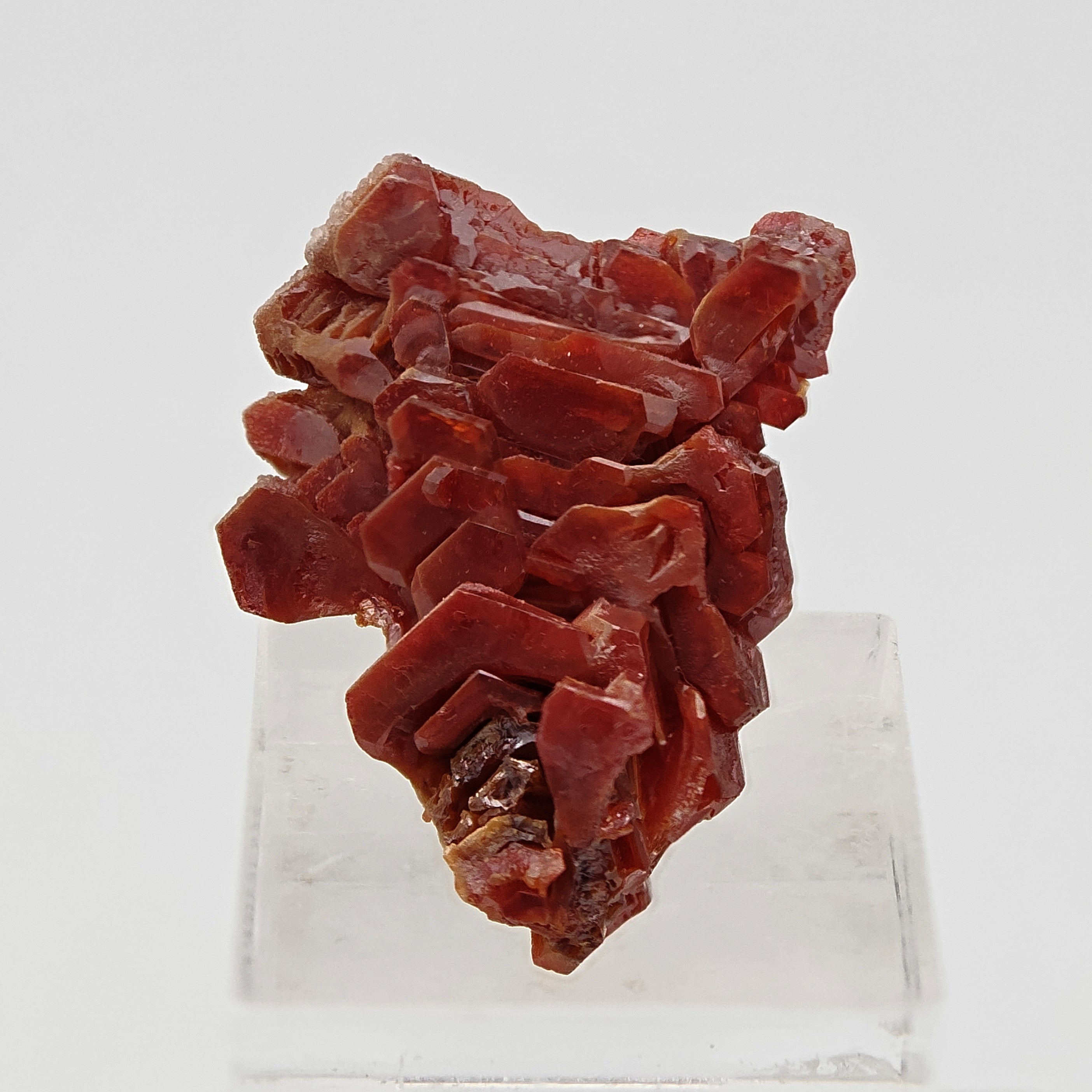 VANADINITE – Blood-Red Petal-Shaped Crystal Plate, Mibladen, Morocco