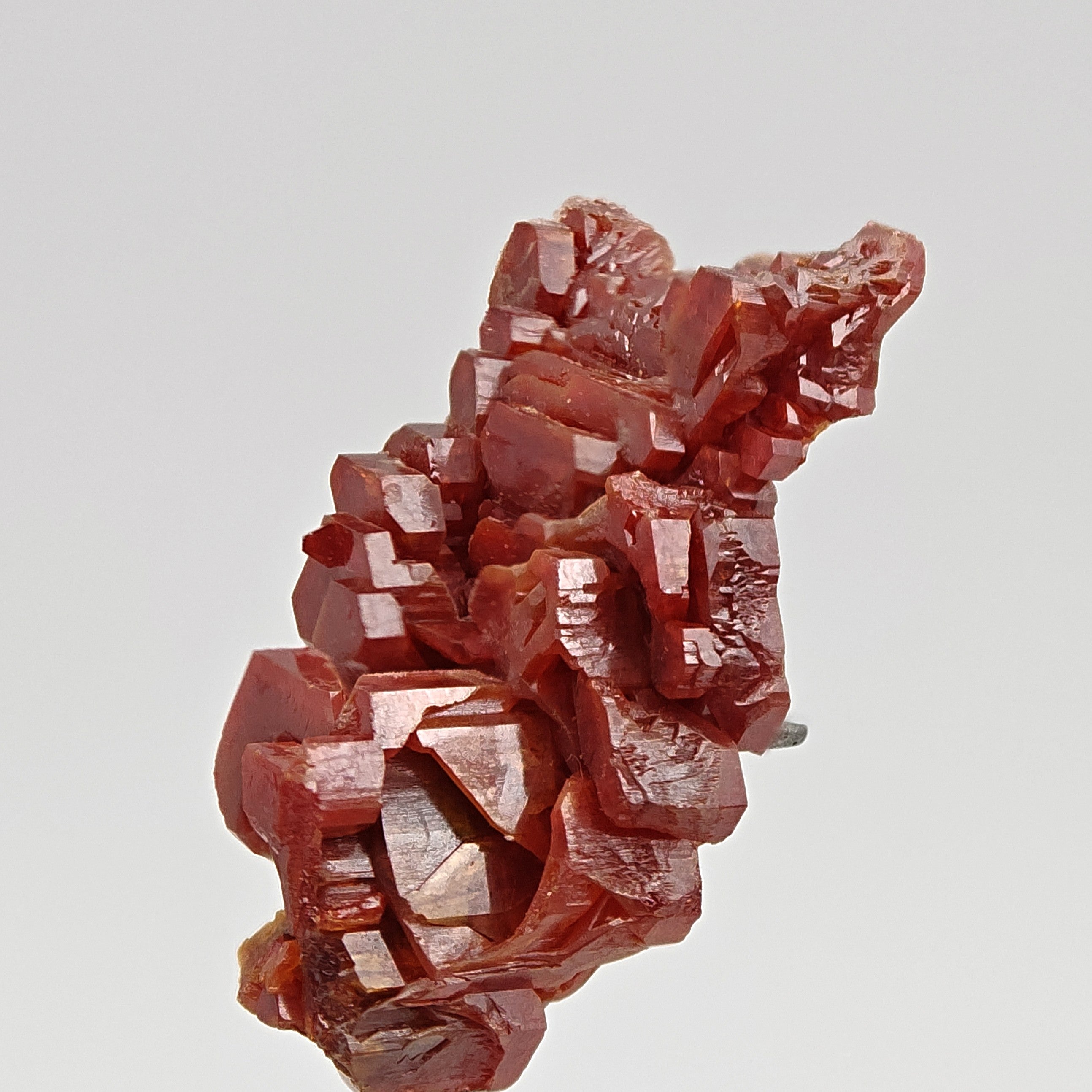 VANADINITE – Blood-Red Petal-Shaped Crystal Plate, Mibladen, Morocco
