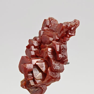 Close-up of lustrous red vanadinite crystals on plate, Mibladen, Morocco