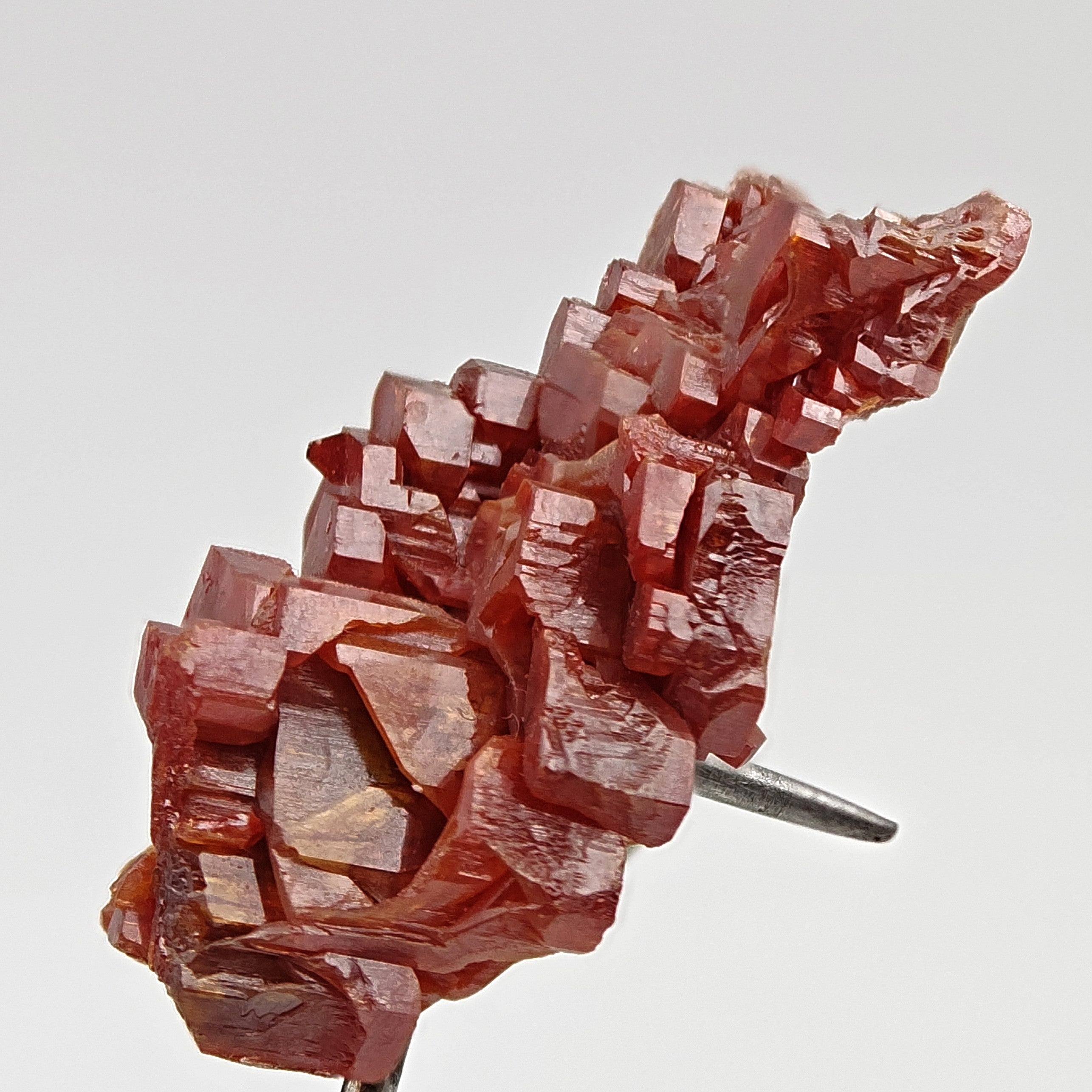 VANADINITE – Blood-Red Petal-Shaped Crystal Plate, Mibladen, Morocco