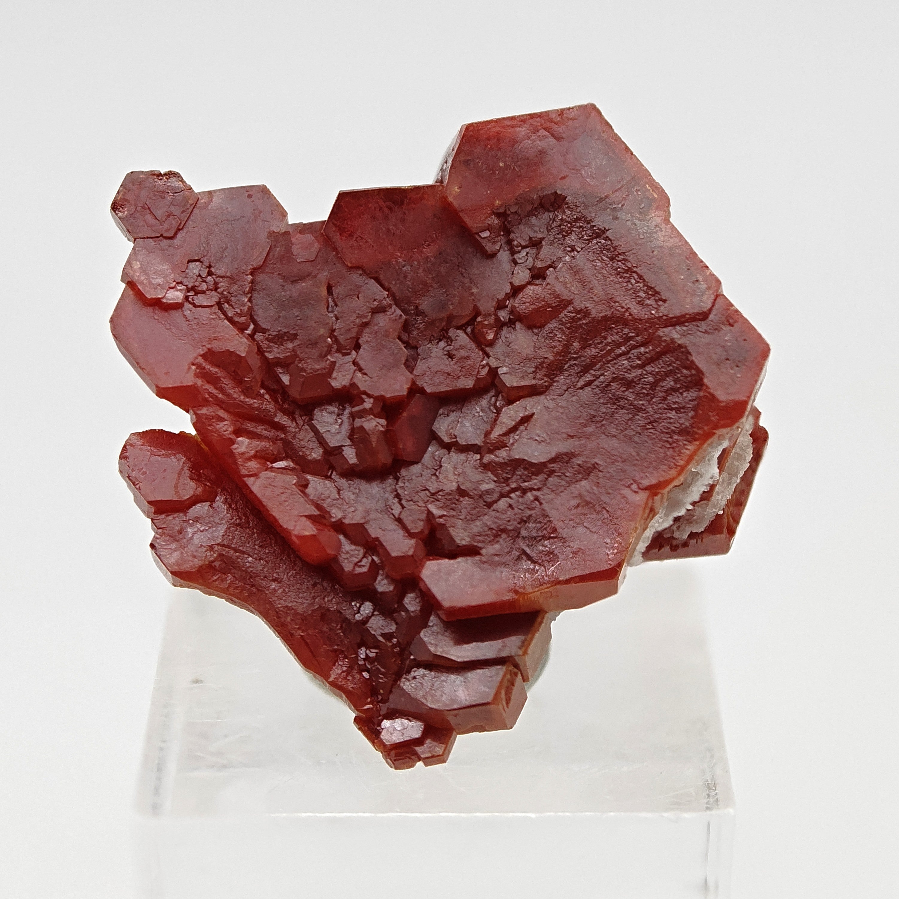 VANADINITE – Blood-Red Petal-Shaped Crystal Plate, Mibladen, Morocco