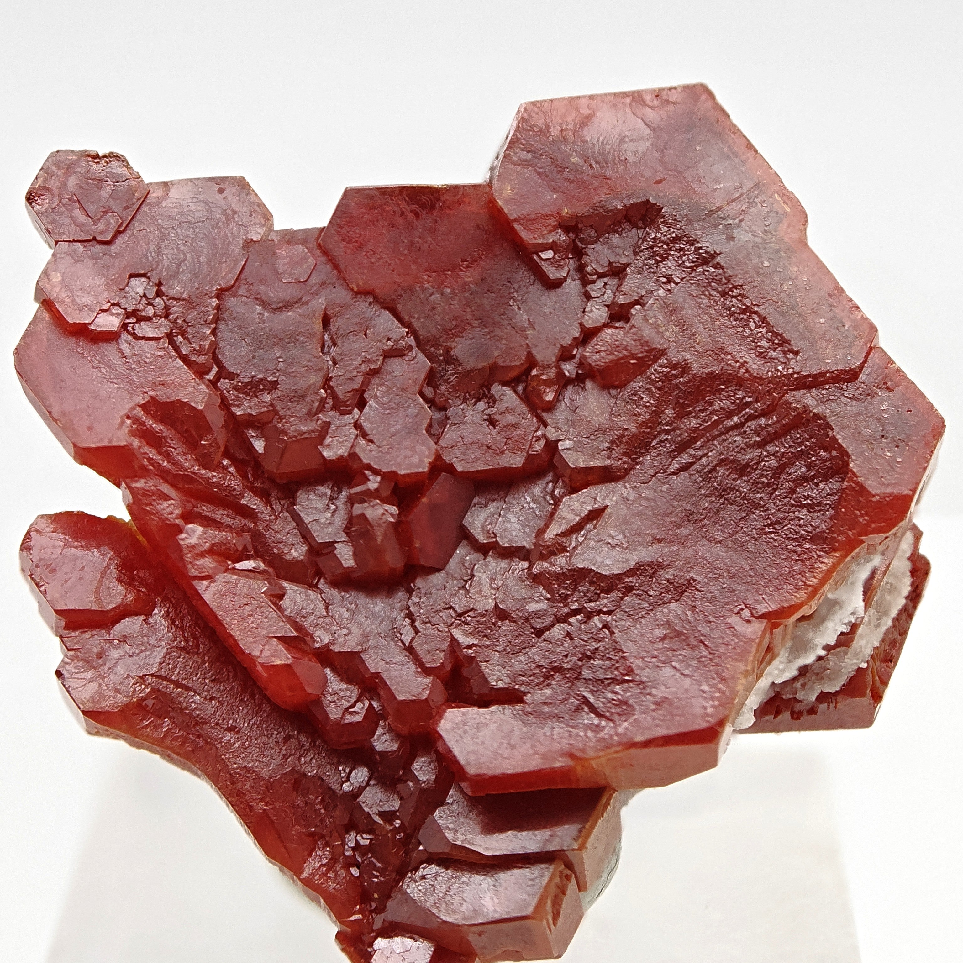 VANADINITE – Blood-Red Petal-Shaped Crystal Plate, Mibladen, Morocco