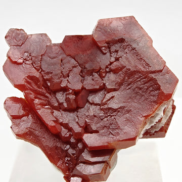 VANADINITE – Blood-Red Petal-Shaped Crystal Plate, Mibladen, Morocco