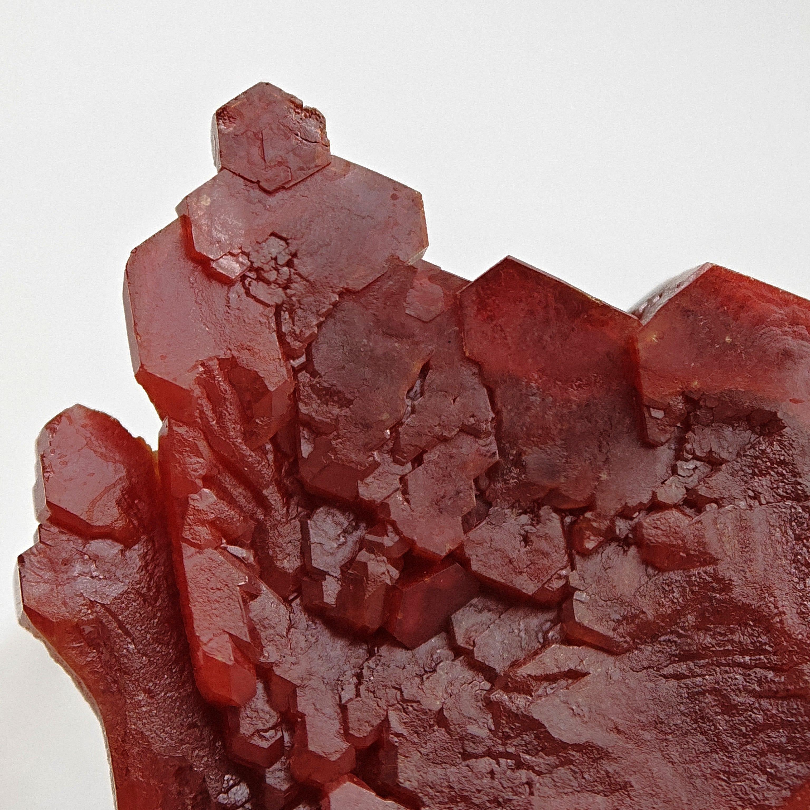 VANADINITE – Blood-Red Petal-Shaped Crystal Plate, Mibladen, Morocco