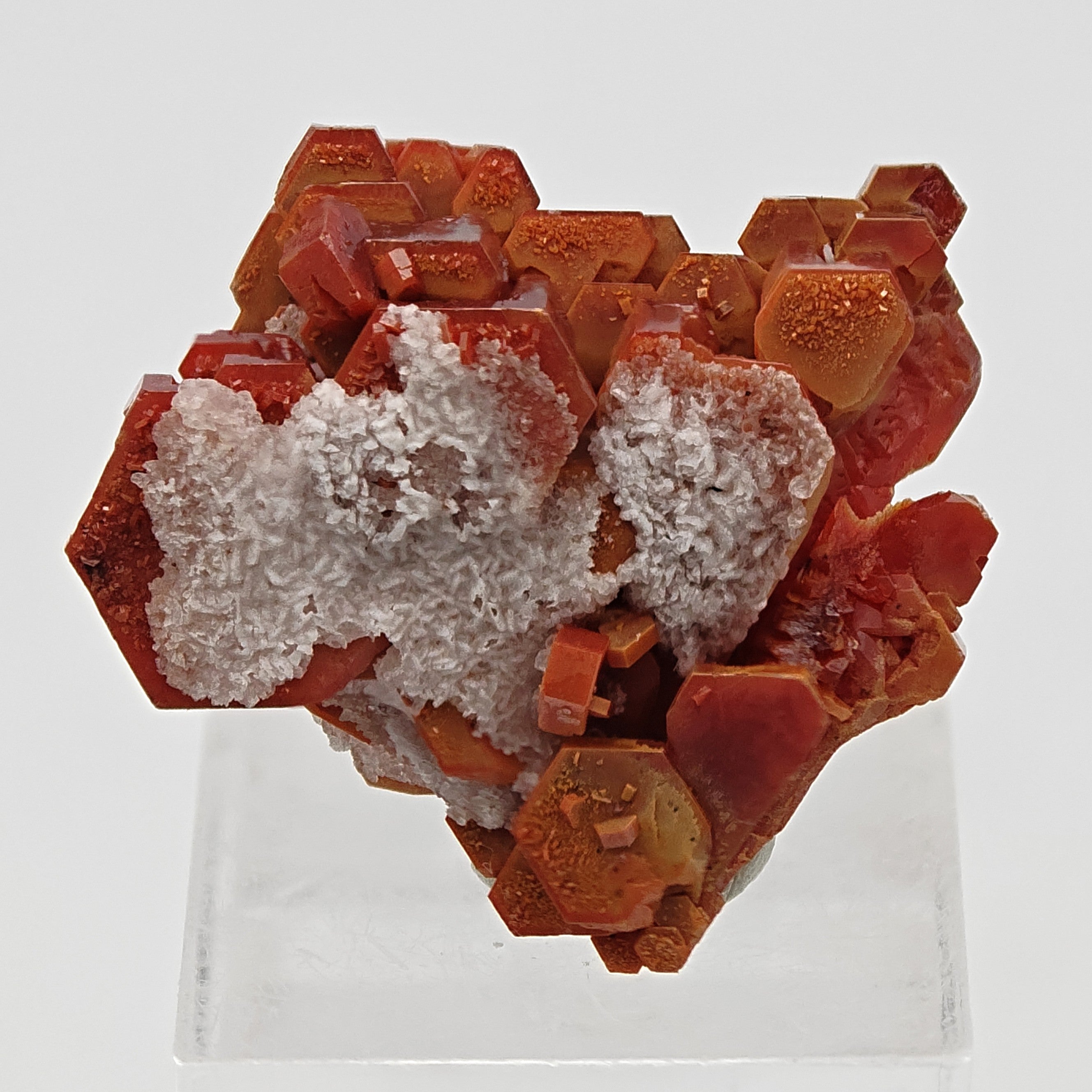 VANADINITE – Blood-Red Petal-Shaped Crystal Plate, Mibladen, Morocco
