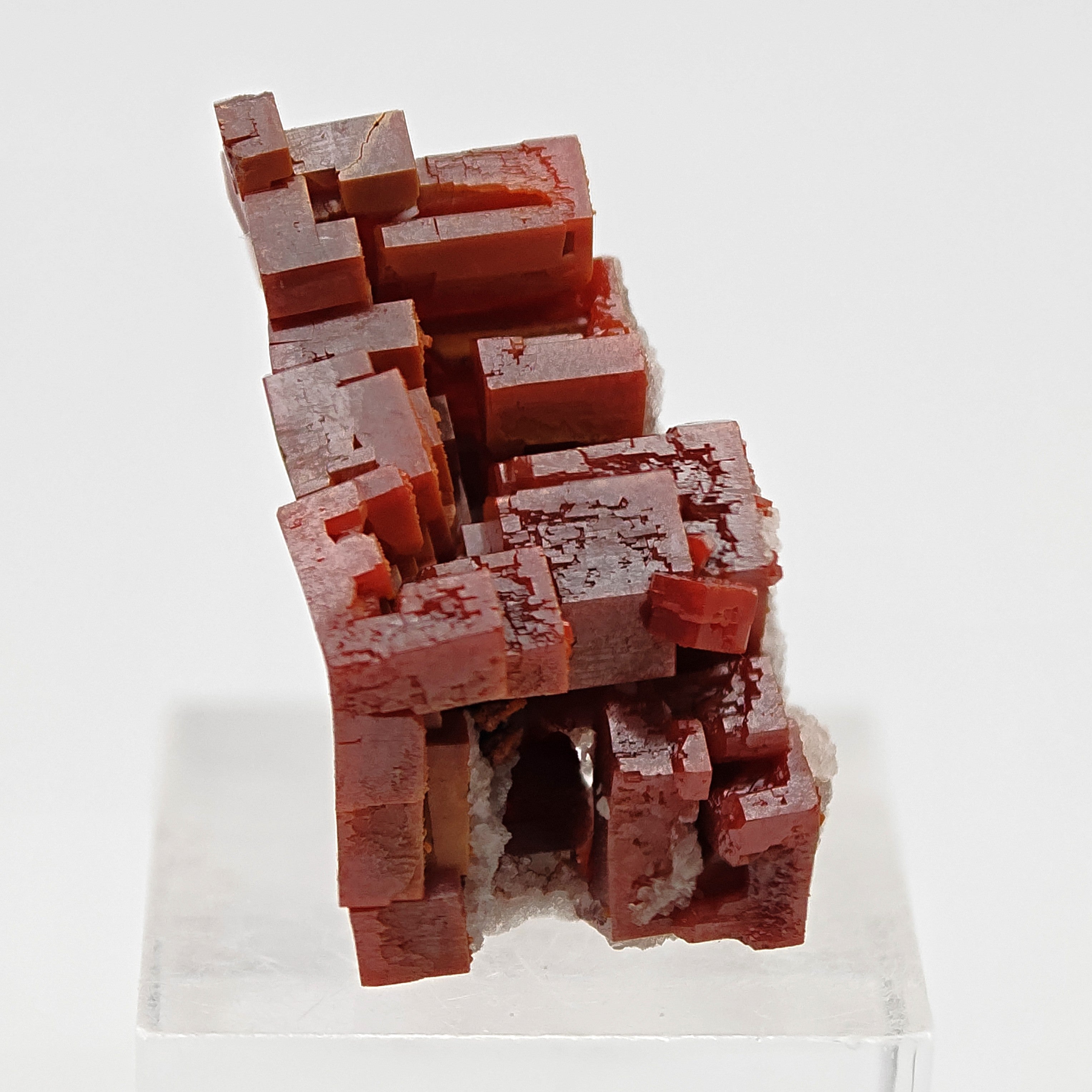 VANADINITE – Blood-Red Petal-Shaped Crystal Plate, Mibladen, Morocco
