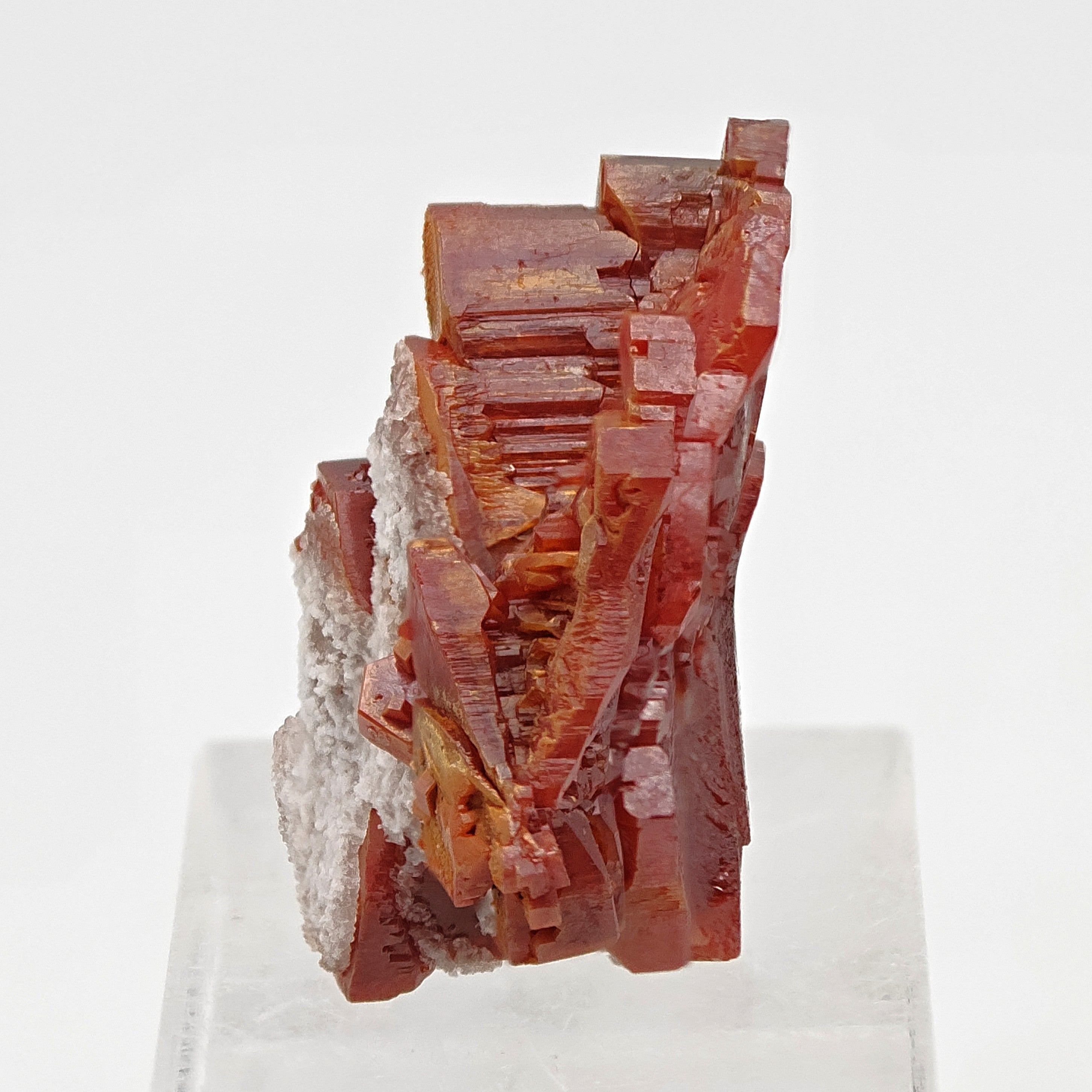 VANADINITE – Blood-Red Petal-Shaped Crystal Plate, Mibladen, Morocco