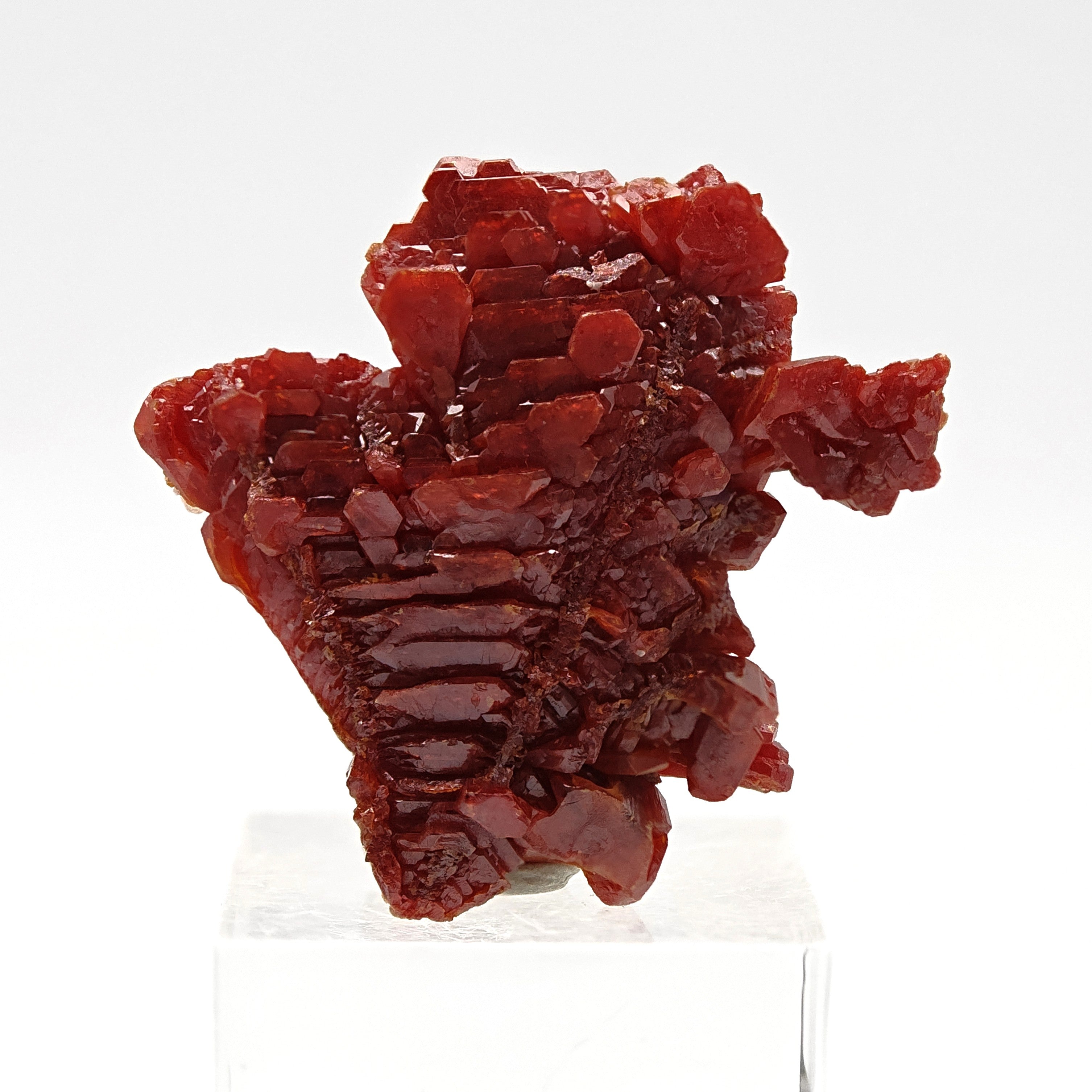 VANADINITE – Blood-Red Petal-Shaped Crystal Plate, Mibladen, Morocco