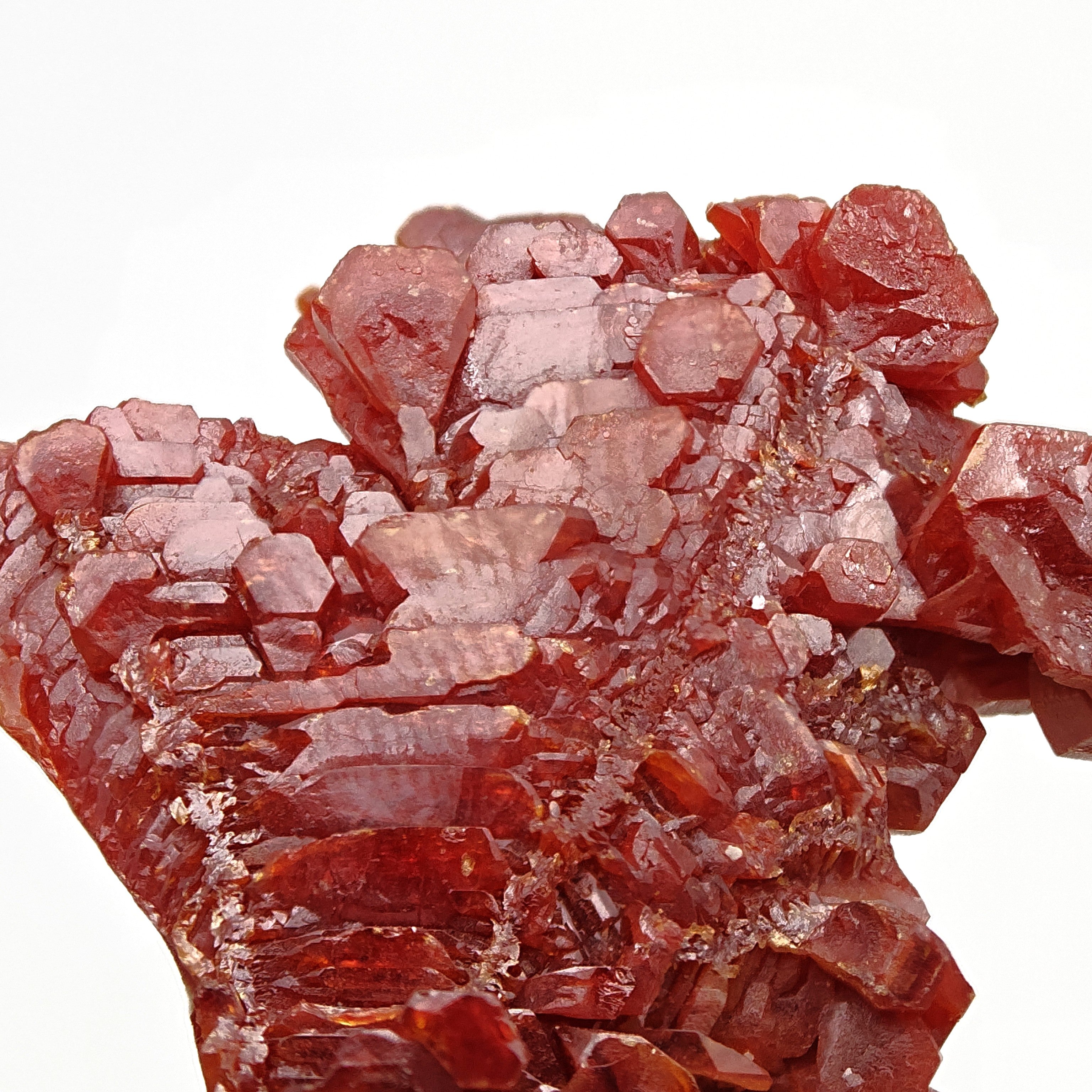 VANADINITE – Blood-Red Petal-Shaped Crystal Plate, Mibladen, Morocco