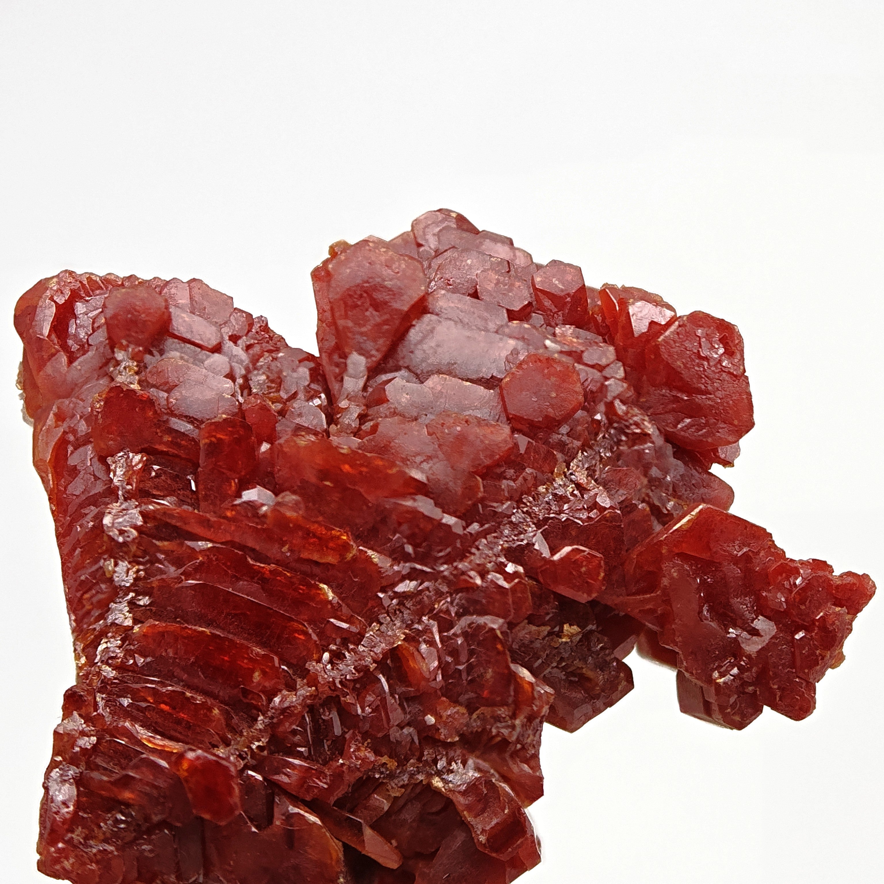 VANADINITE – Blood-Red Petal-Shaped Crystal Plate, Mibladen, Morocco