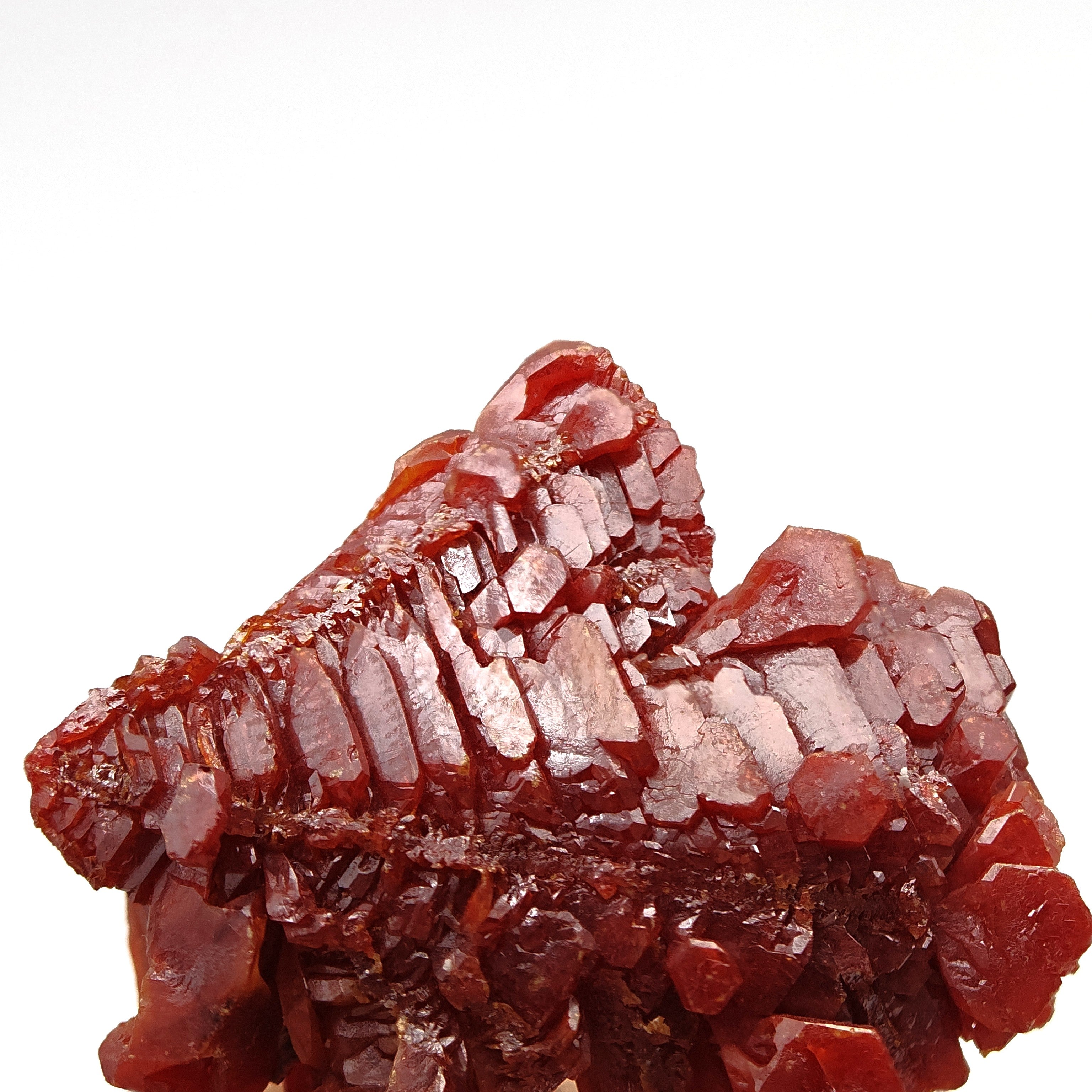 VANADINITE – Blood-Red Petal-Shaped Crystal Plate, Mibladen, Morocco