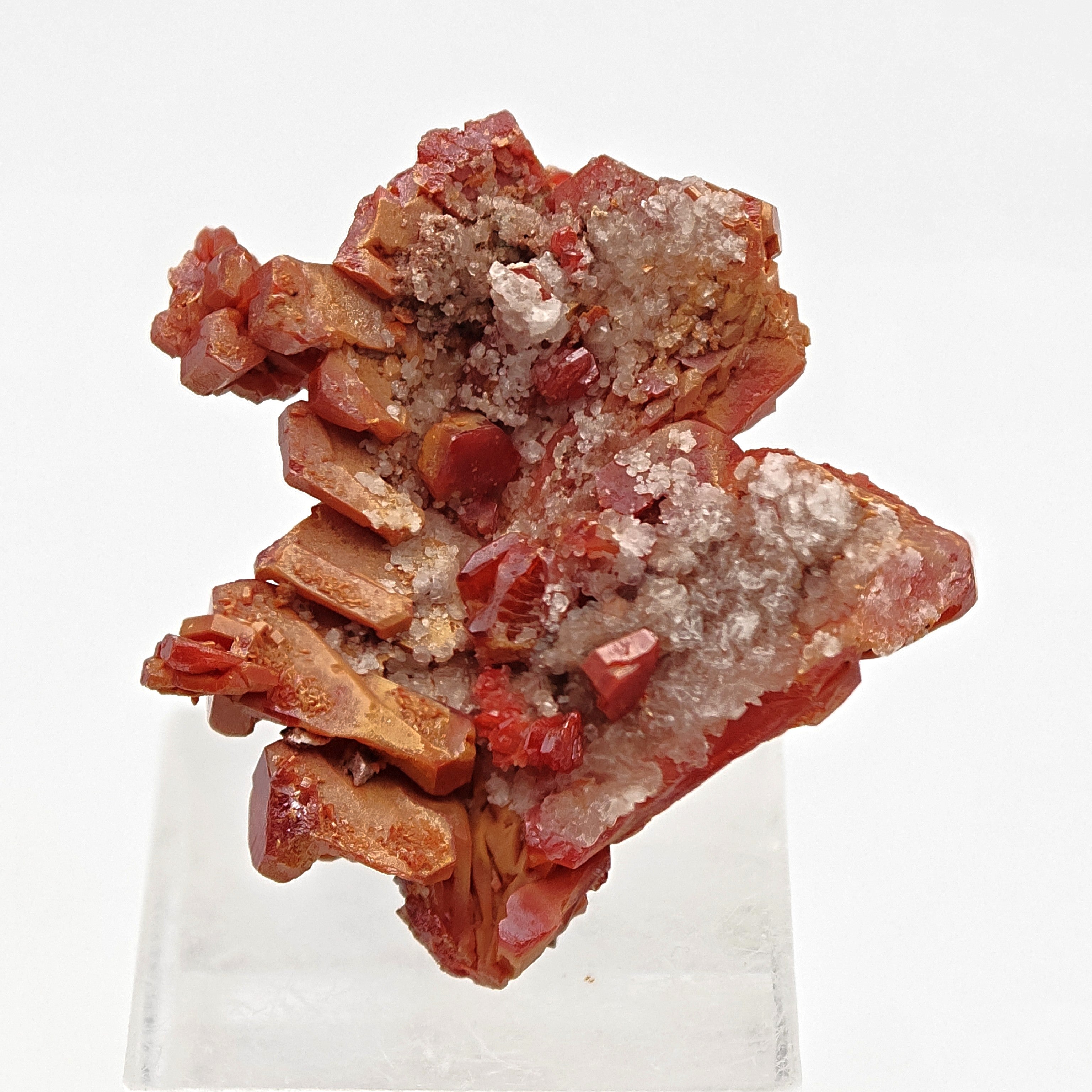 VANADINITE – Blood-Red Petal-Shaped Crystal Plate, Mibladen, Morocco