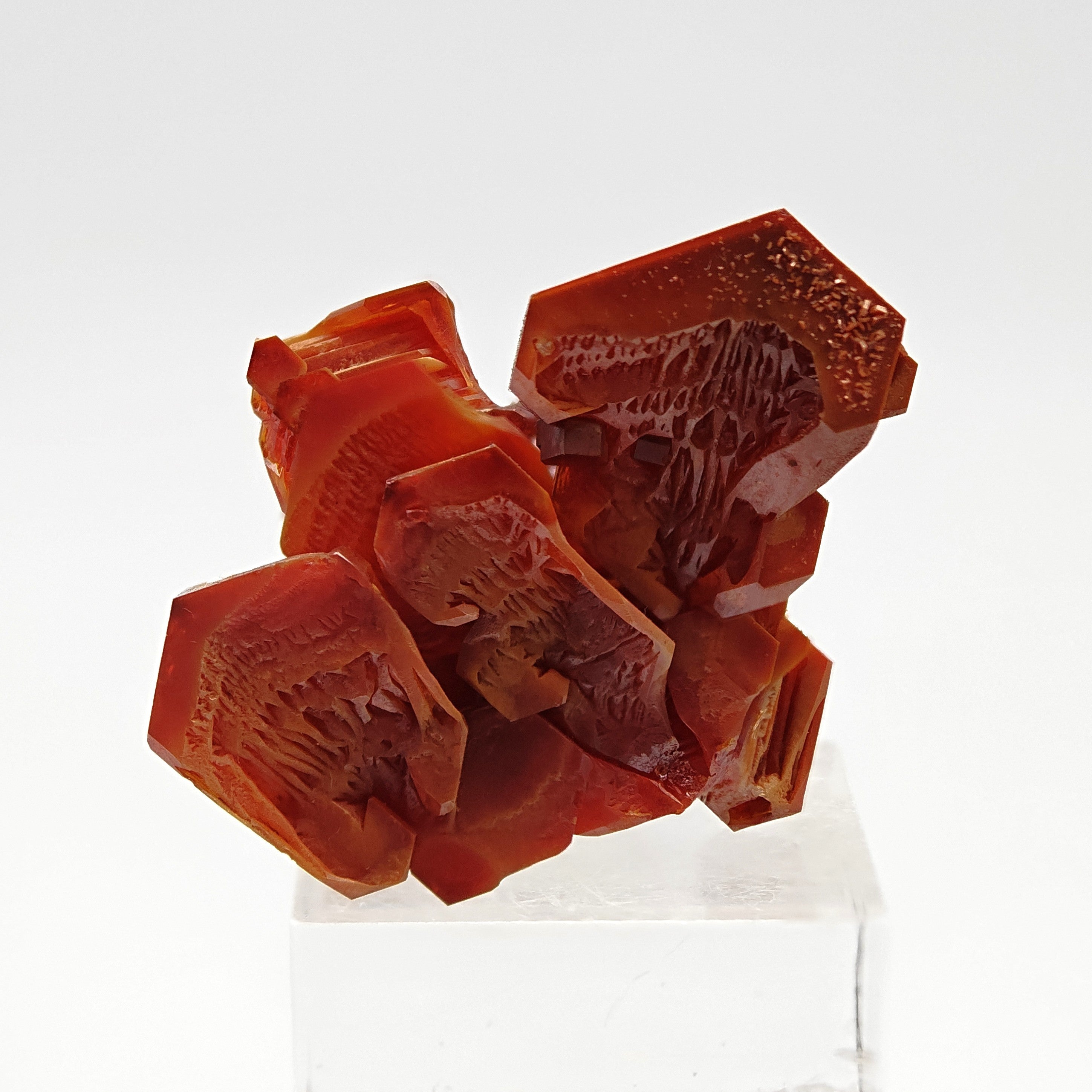 VANADINITE – Blood-Red Petal-Shaped Crystal Cluster, Mibladen, Morocco