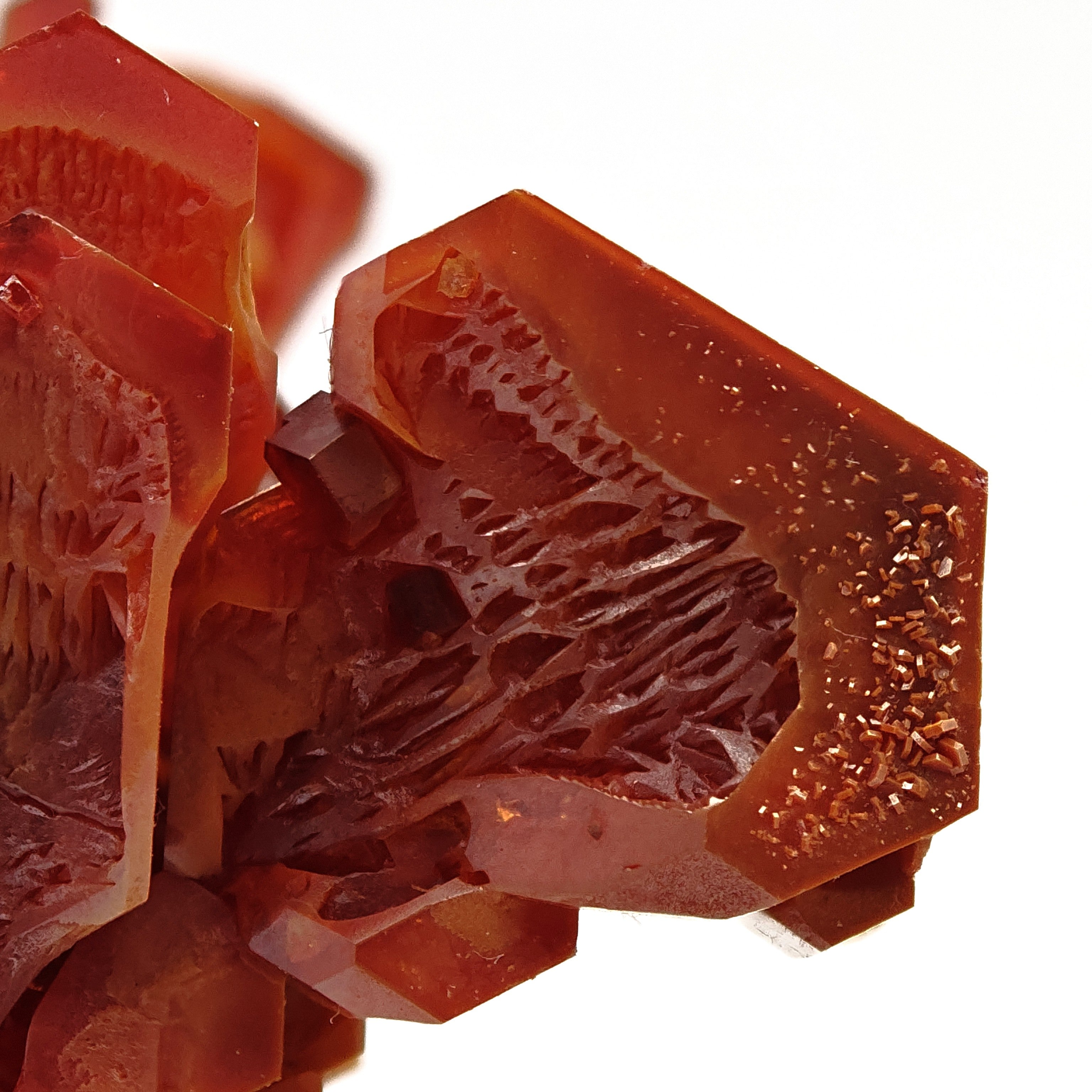 VANADINITE – Blood-Red Petal-Shaped Crystal Cluster, Mibladen, Morocco