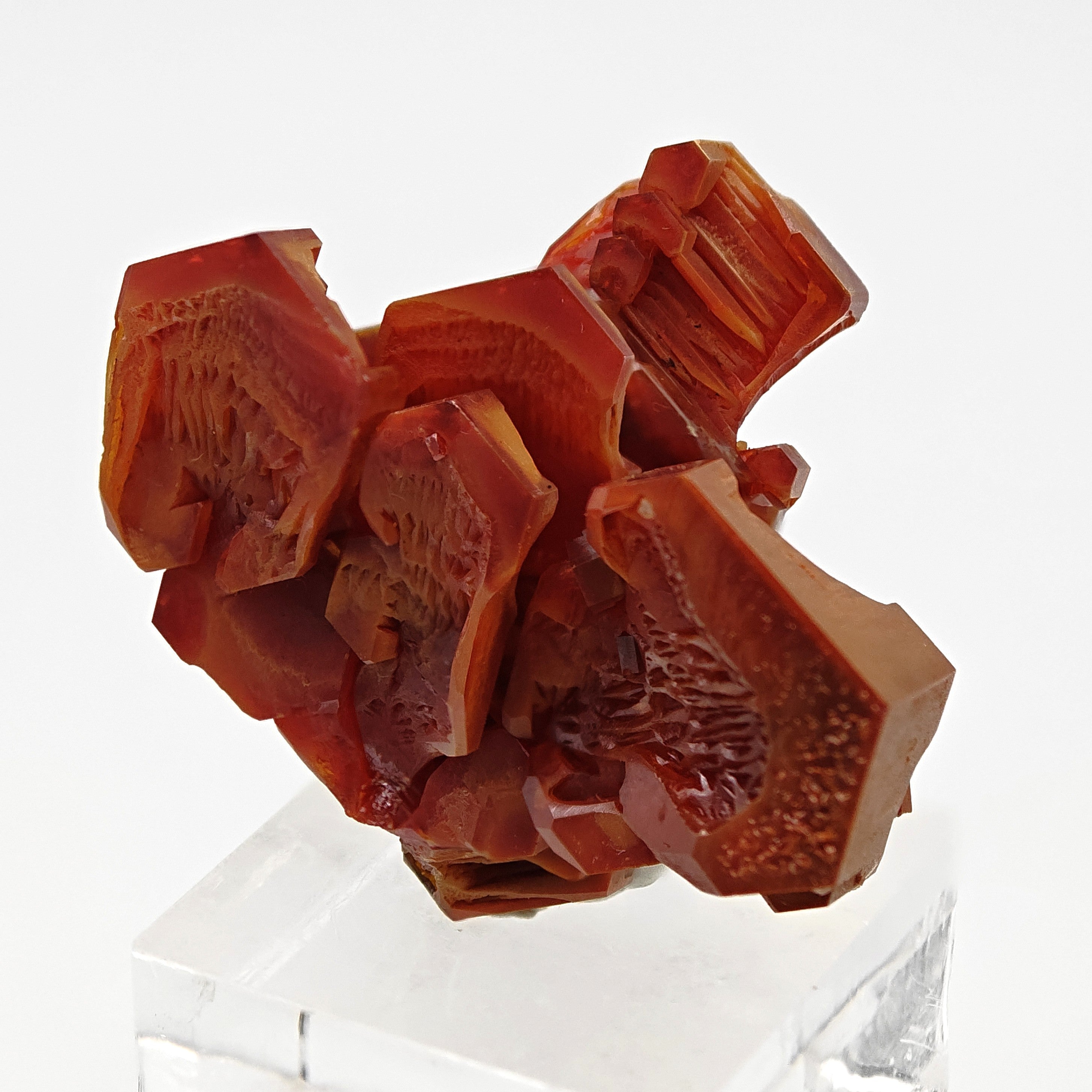 VANADINITE – Blood-Red Petal-Shaped Crystal Cluster, Mibladen, Morocco