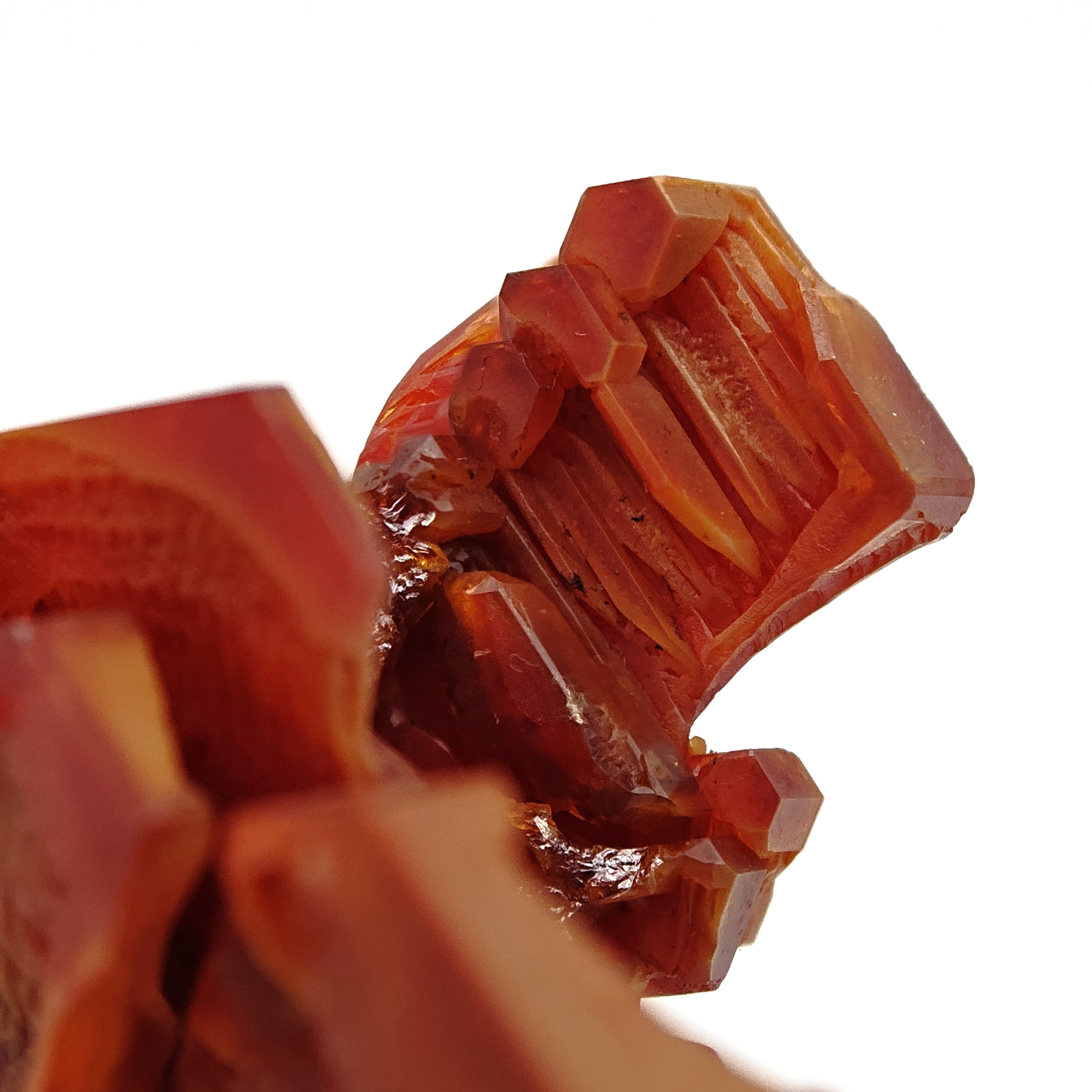 VANADINITE – Blood-Red Petal-Shaped Crystal Cluster, Mibladen, Morocco