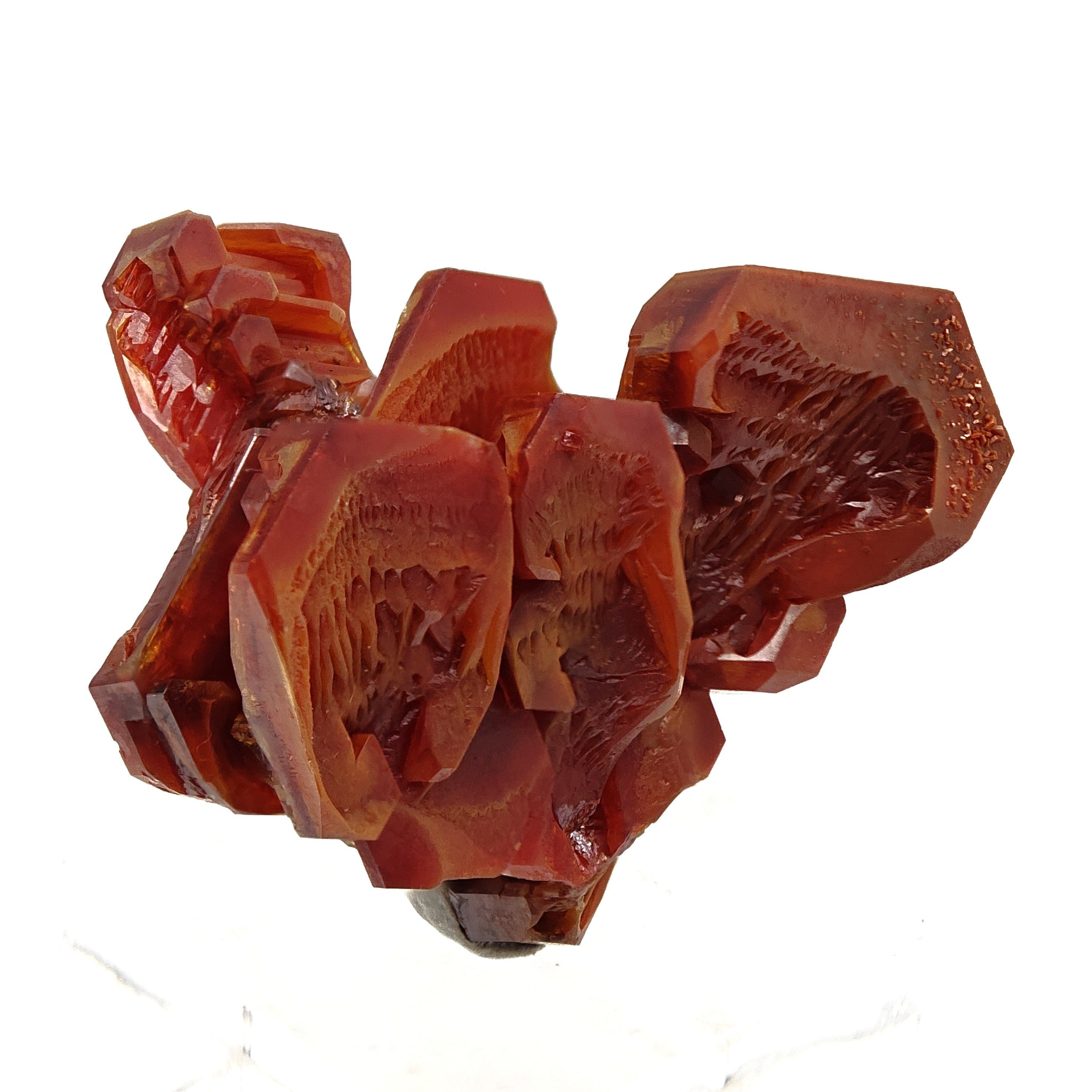 VANADINITE – Blood-Red Petal-Shaped Crystal Cluster, Mibladen, Morocco
