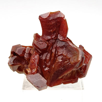 Vanadinite specimen on matrix showing blood-red hexagonal crystal cluster