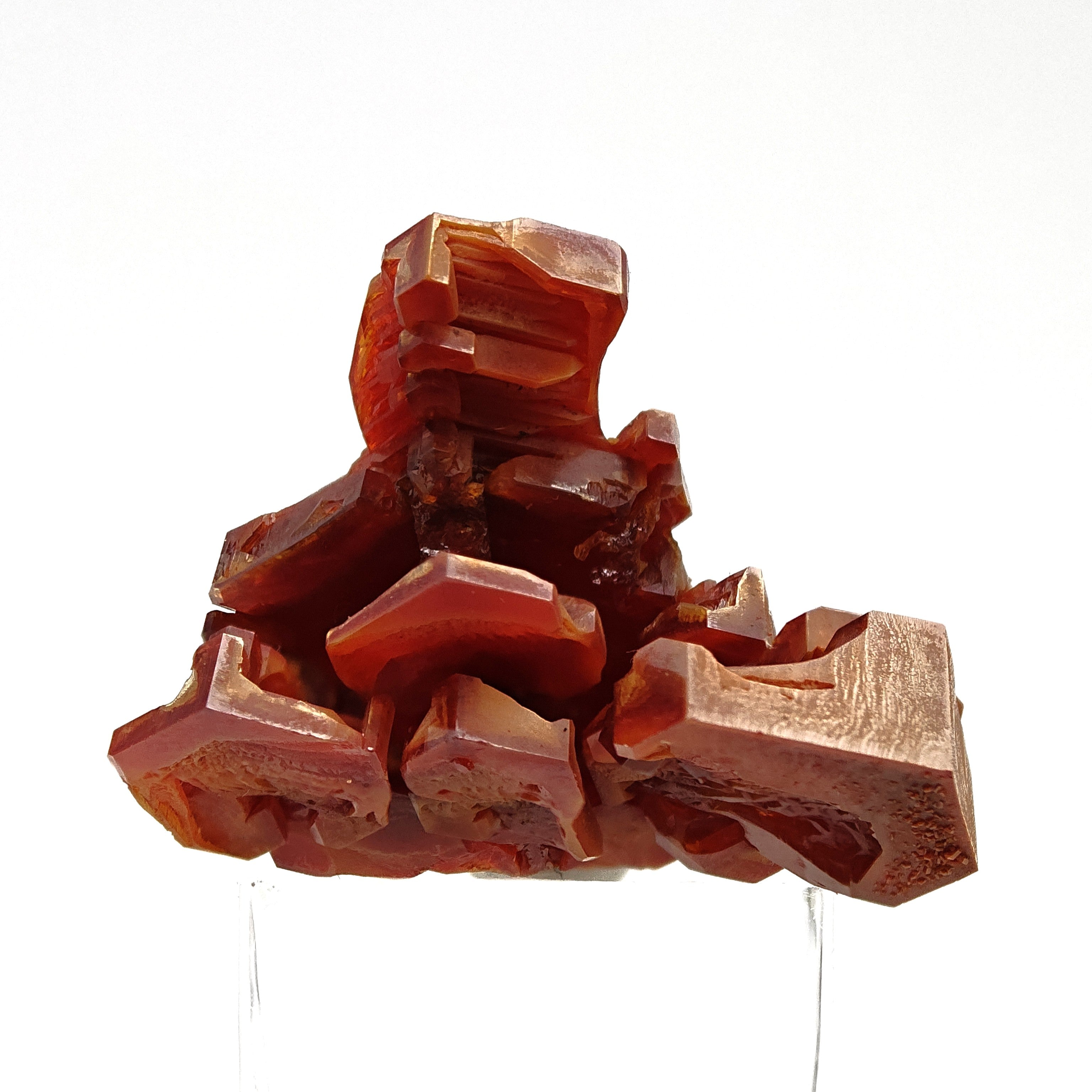 VANADINITE – Blood-Red Petal-Shaped Crystal Cluster, Mibladen, Morocco