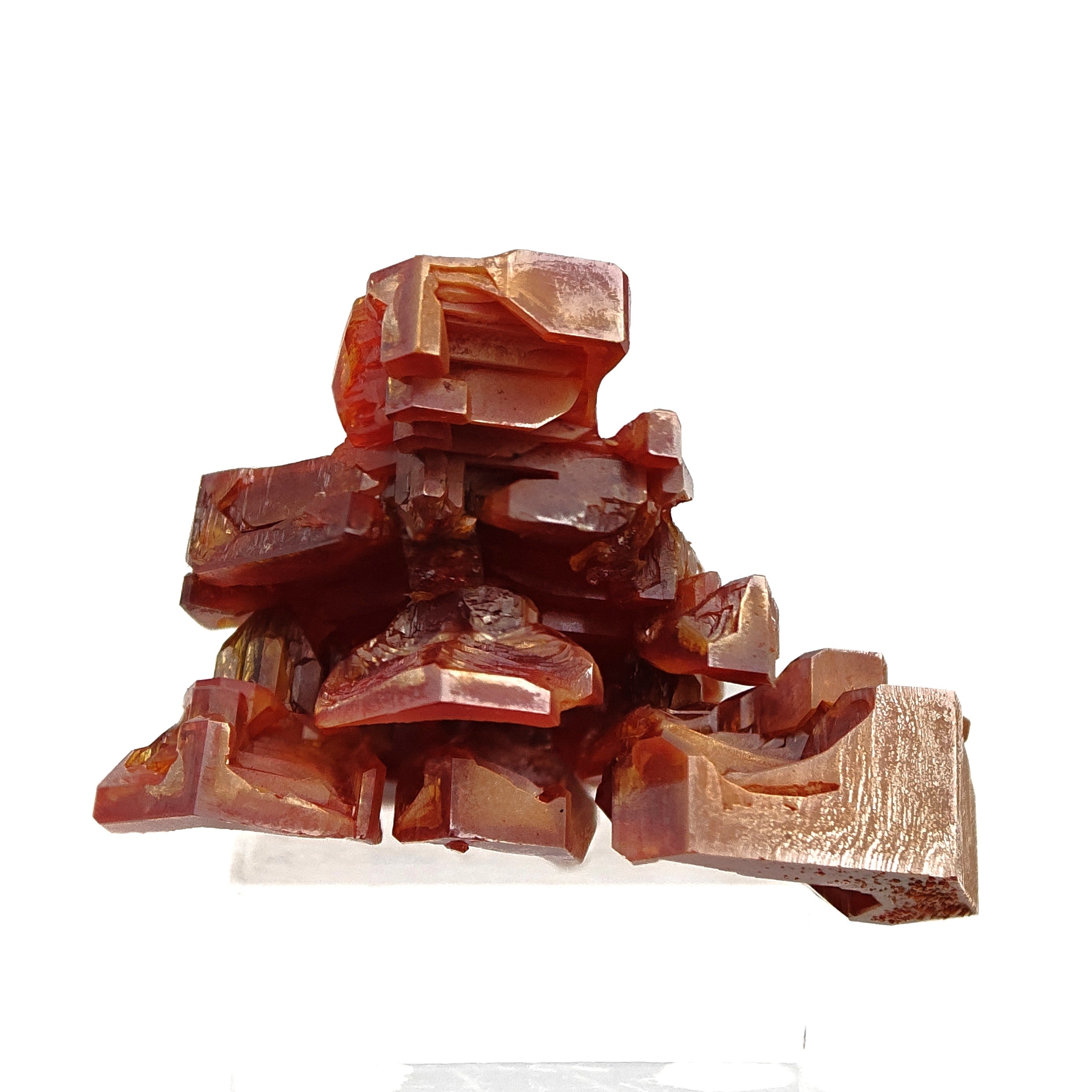 VANADINITE – Blood-Red Petal-Shaped Crystal Cluster, Mibladen, Morocco