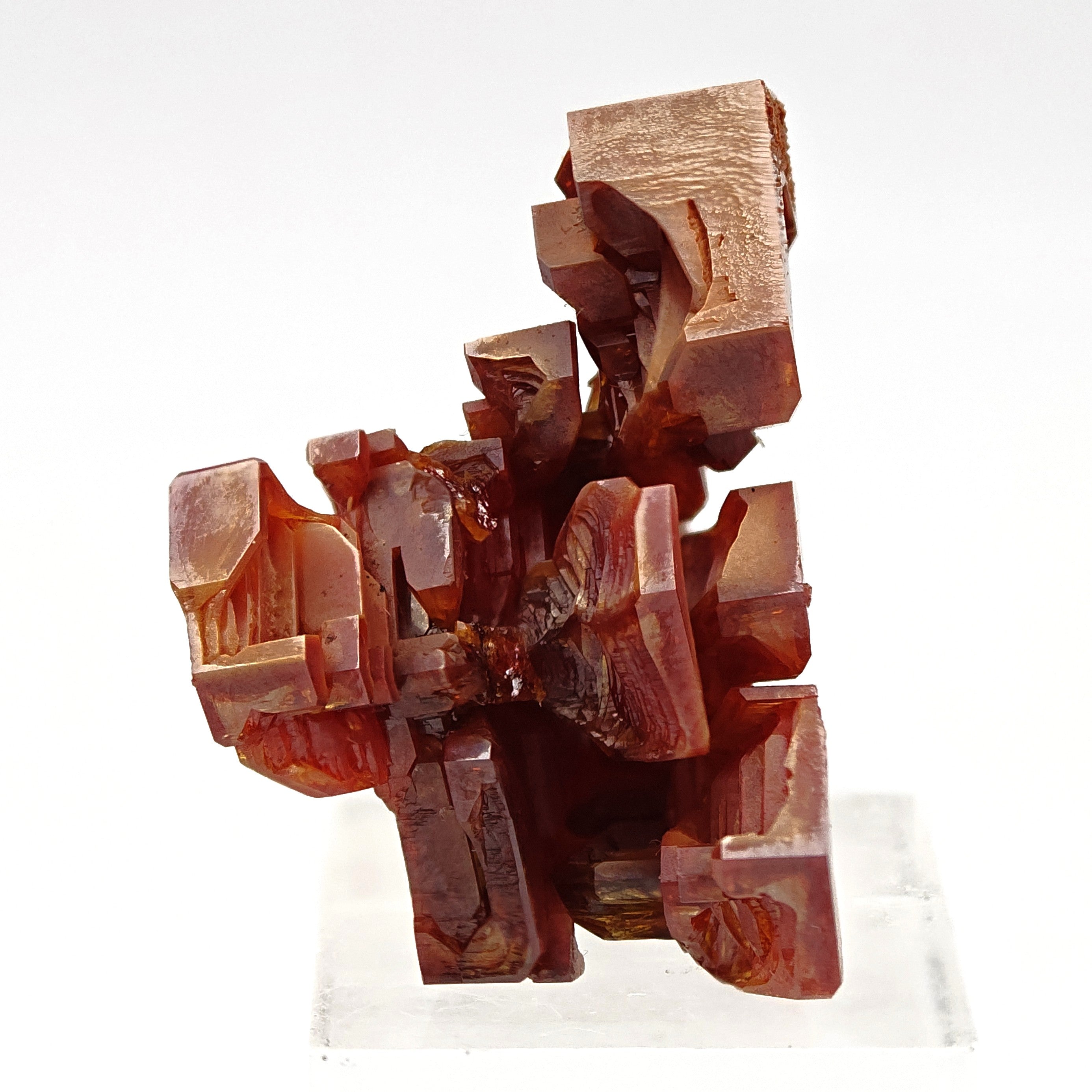 VANADINITE – Blood-Red Petal-Shaped Crystal Cluster, Mibladen, Morocco