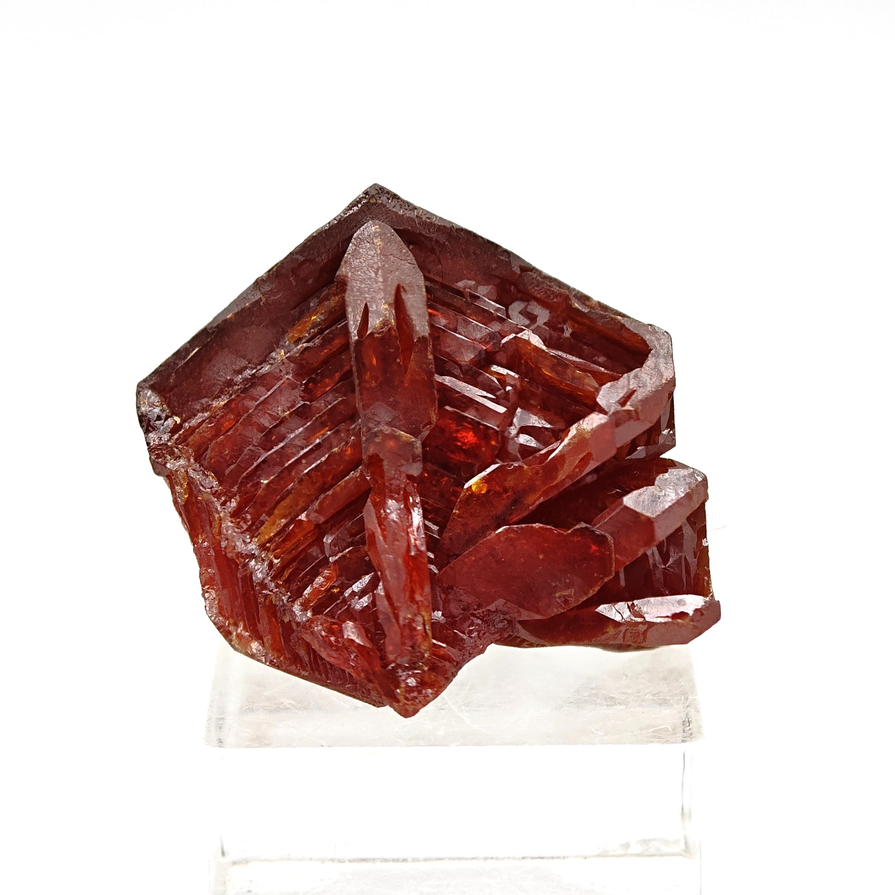 VANADINITE – Blood-Red Petal-Shaped Crystal Cluster, Mibladen, Morocco