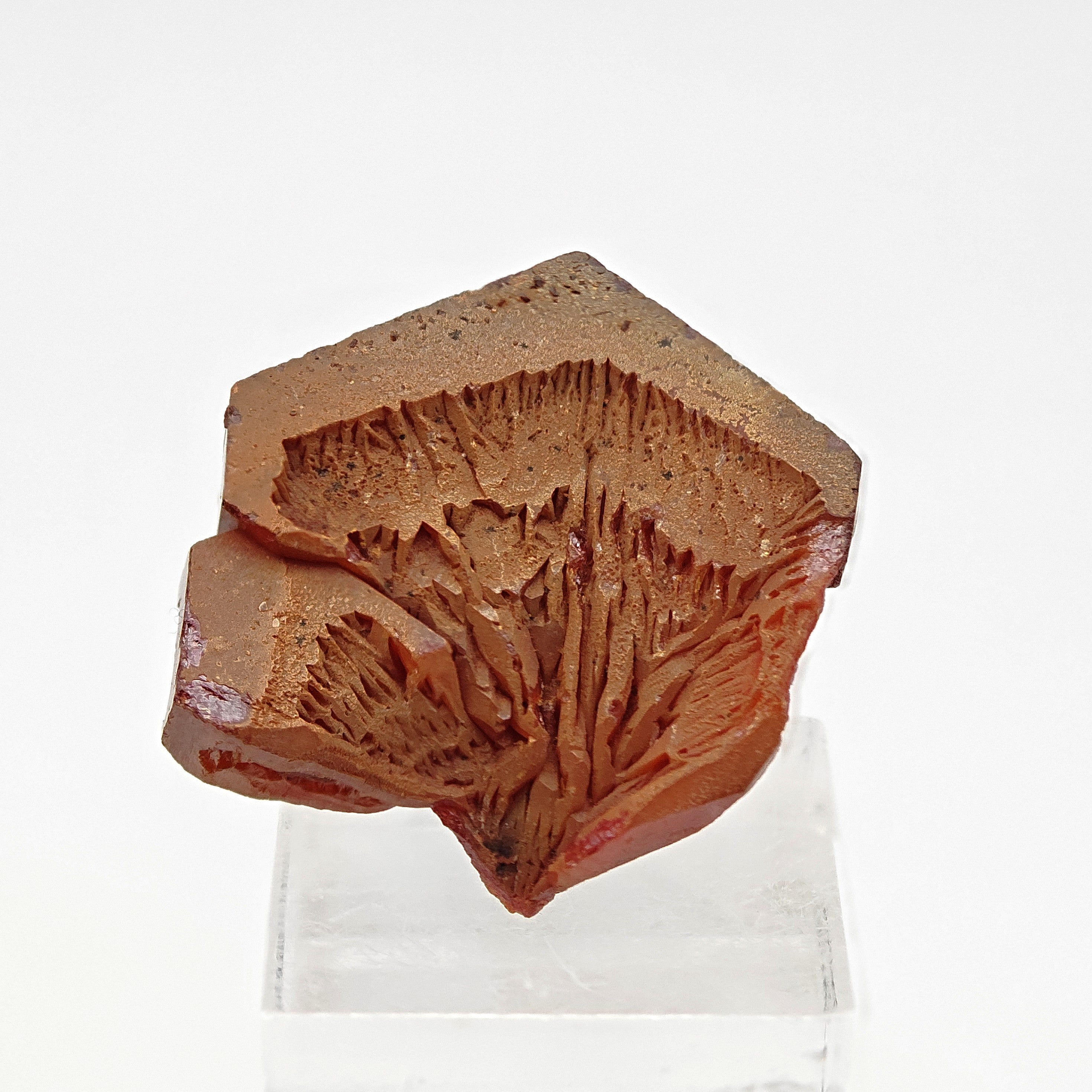 VANADINITE – Blood-Red Petal-Shaped Crystal Cluster, Mibladen, Morocco