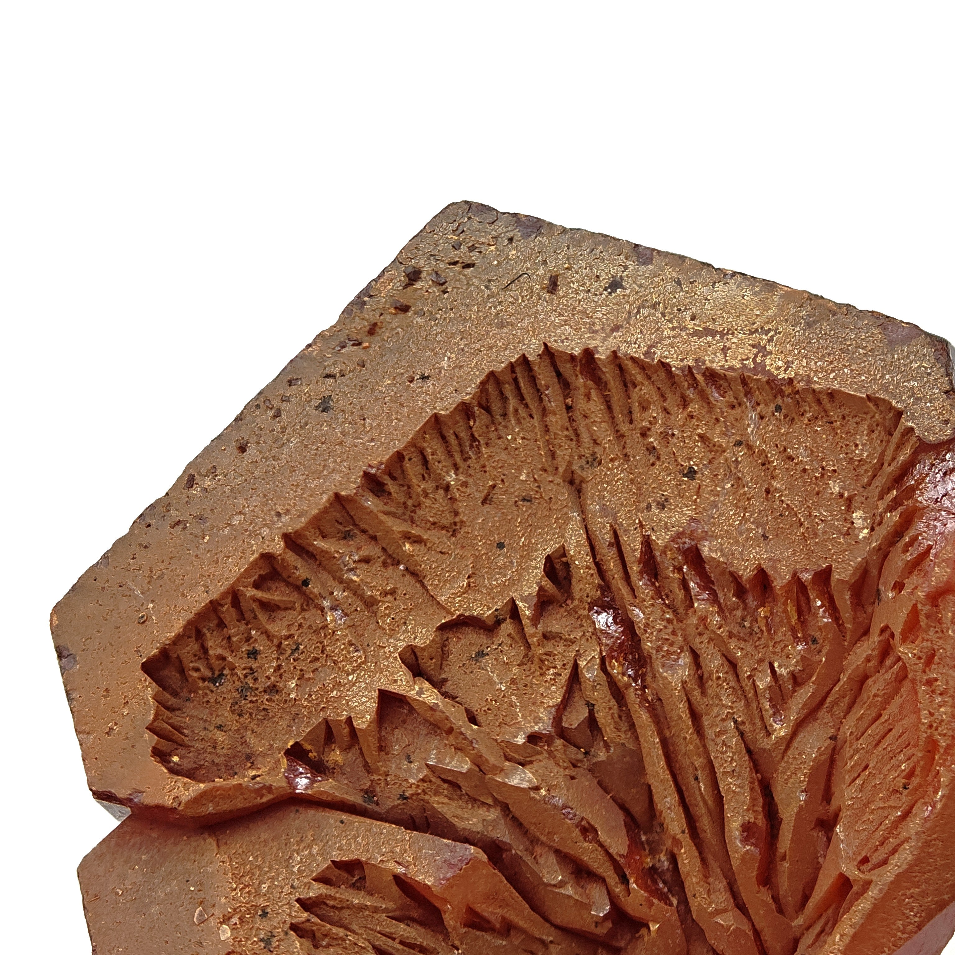 VANADINITE – Blood-Red Petal-Shaped Crystal Cluster, Mibladen, Morocco